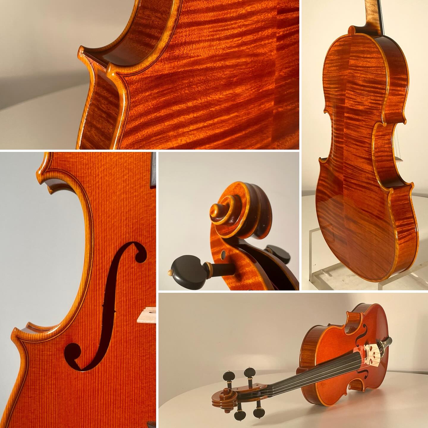 Viola mod. Ornati…