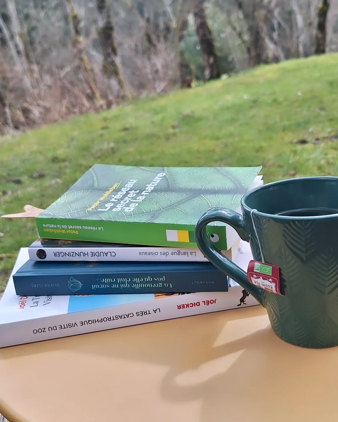 LECTURES PRINTANIÈRES
Si vous deviez emmener un 📖 au lodge, à bouquiner au son des oiseaux en avril ce serait...
#plaisirsimple #lecturedumoment
#bookstagram #booklover #instabook #instalivre #instachill #livreaddict #momentpoursoi