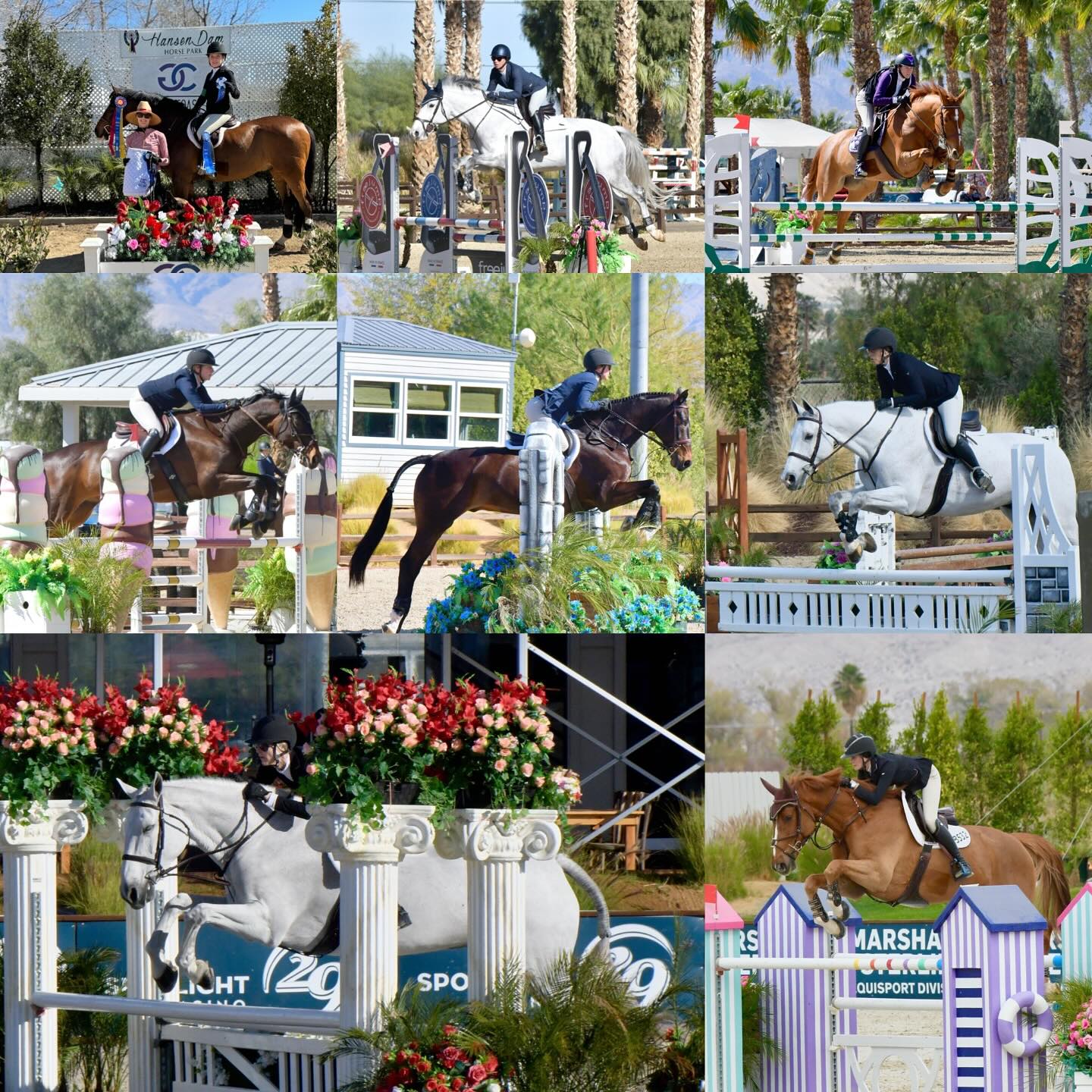 Looking forward to an amazing spring!! We have a few stalls open if you would like to join us in a program that prioritizes good horsemanship, learning and fun. π Oaks Prem 2 as well as full training, excellent care, long daily turn outs and trail riding at home. Letβs all enjoy our time with these special horses ππ