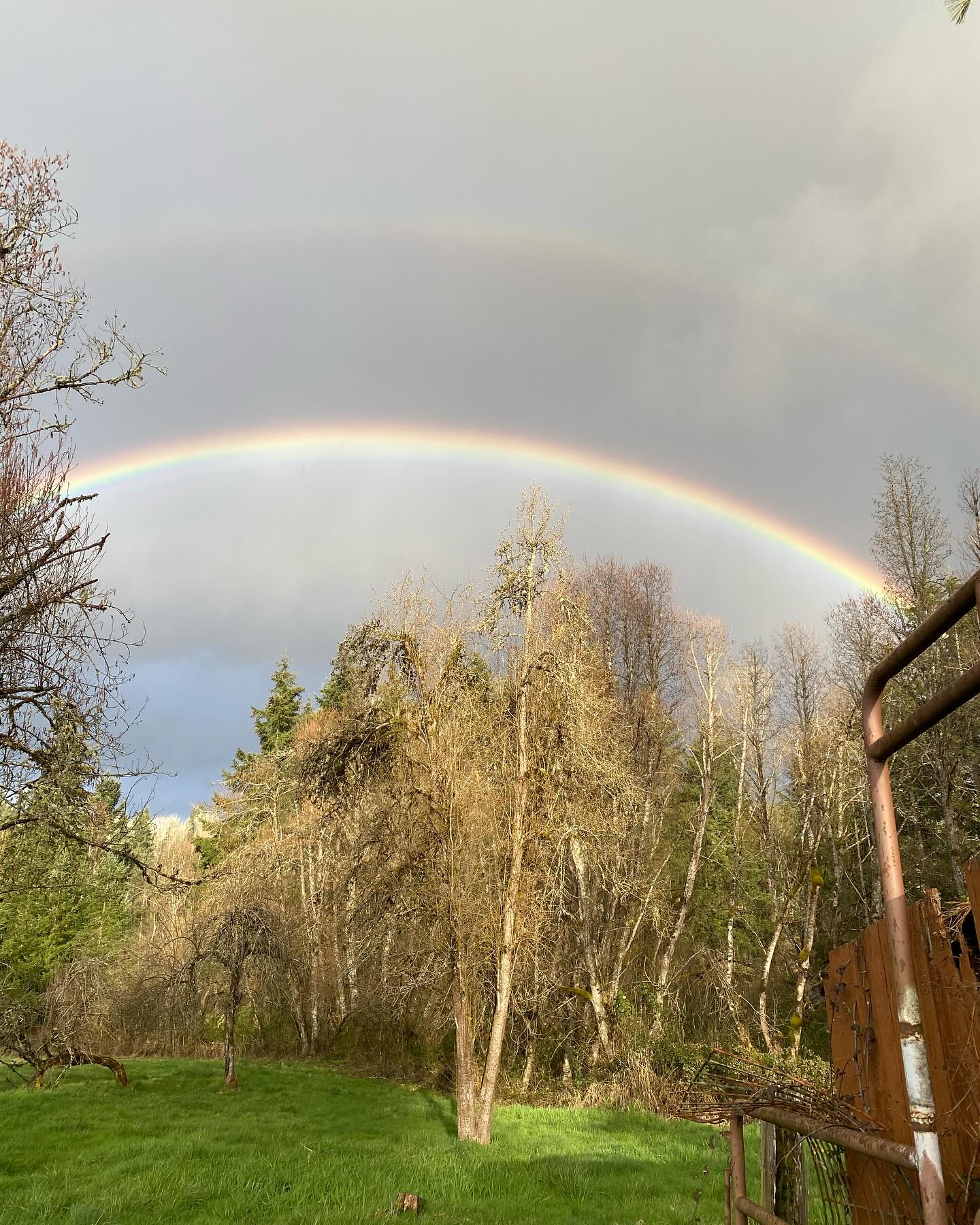 So much motion and change these spring days. Part of it all is feeling the bittersweetness of taking a break from @silvertonfarmersmarket this season and excitement for a new phase at the @portlandfarmers market at PSU, starting tomorrow! We’re honored to be continuing and expanding our partnerships with @brownbottlefarm , @sauvieshrubs, and @vissersendivessilverton!
Silverton folk - we still have CSA shares available, and hope to have a midweek farm stand. We hope to have the capacity for both Saturday markets in the future. We are already missing you! Sign up for our monthly newsletter on the bottom of the home page of our website www.oldemoonfarm.com
See you tomorrow, Portland!
