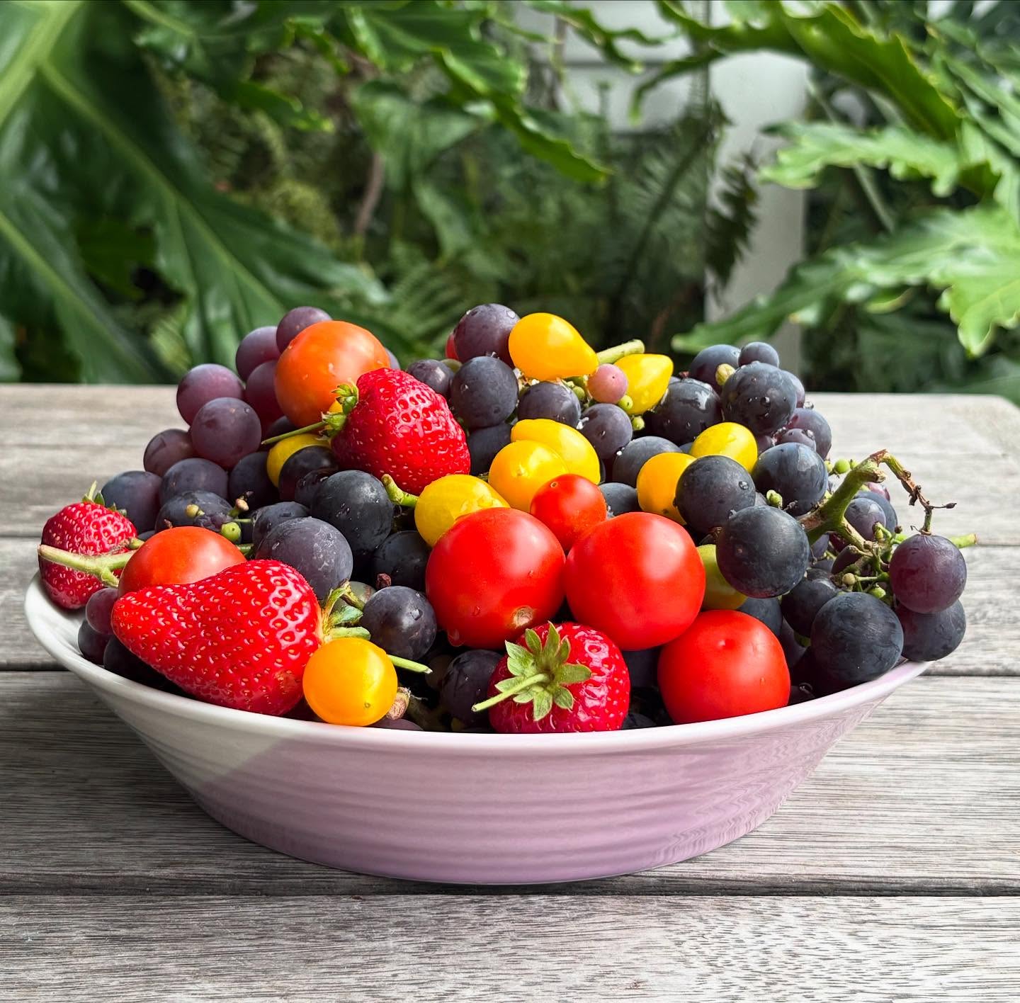 Fruit picked from my garden today. And yes, tomatoes are classified as a fruit - although commonly used as (savoury) vegetables in cooking