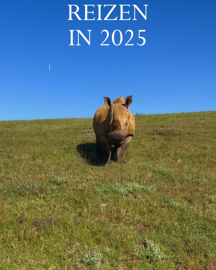 Een paar van onze persoonlijke favorieten! Welke bestemming staat nog op jouw bucketlist? 🇿🇦✈️
#zuidafrika #southafrica #tuliblock #franschhoek #capewinelands #greaterkruger #sanipass #drakensberg #tsitsikamma #droomreis #reizenmetkinderen