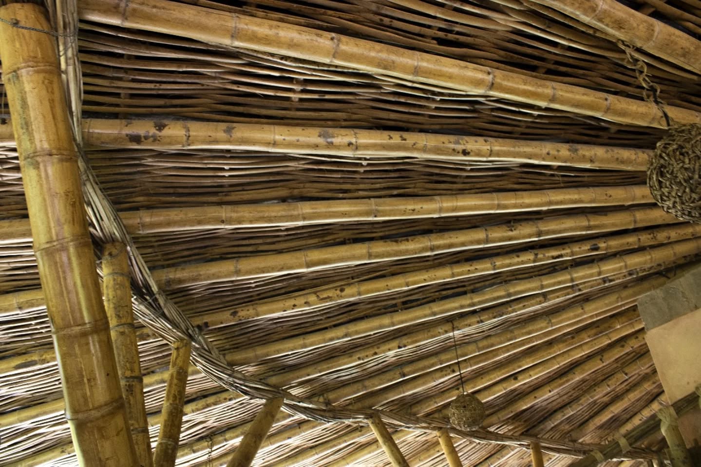 Deepening our everyday connection with nature through life in open, organically formed, bamboo architecture...
.
This is one of our intentions at the Bamboo Lab. And Casa Soná does this through...
* Splaying and weaving bamboo.
* Juxtaposing textures of natural materials.
* Composing spaces through the use of sculptural elements.
* Opening some views, closing other views.
Bringing light through the ceiling.
.
📸 @lagabisalome
.
#bambooroof #bambooweave #bambooarchitecture #naturalmaterials #ecobuilding #connectwithnature #architecturedetail #naturaltexture #naturalhouse #architectureasart