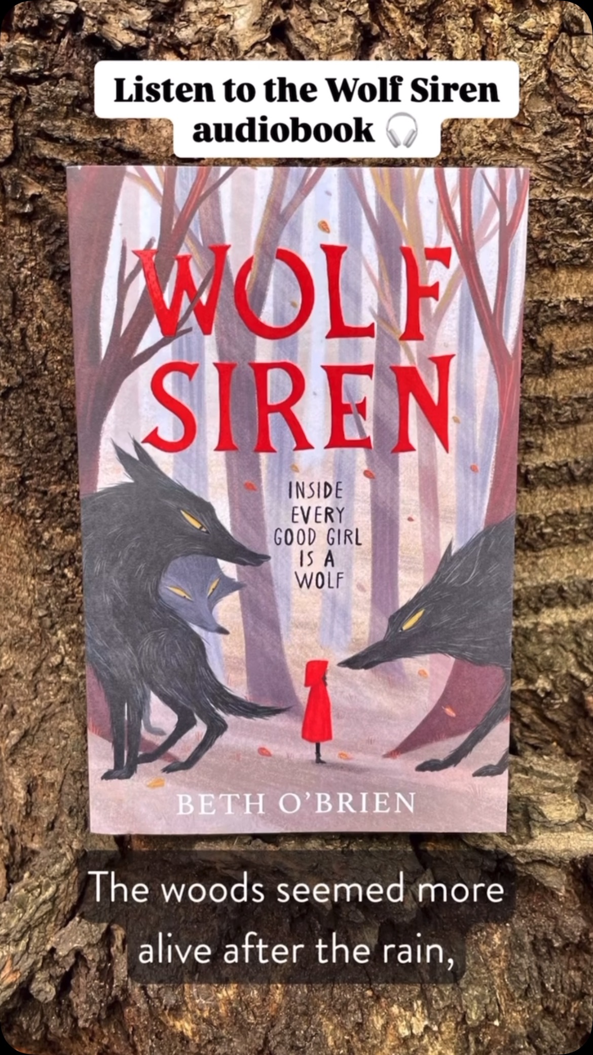 We are so proud of @niamhlongford!!
‘Listen to a preview of the magical Wolf Siren audiobook 🎧
@niamhlongford beautifully narrates @bethowriter’s powerful fairytale retelling of Little Red Riding Hood ❤️🐺
The full audiobook is available now, so you can keep listening…’
@harpercollinsch @rnib #JHPM #excitingnews #voice #audiobook #audiobooksofinstagram #nystagmus #representation #proudagent