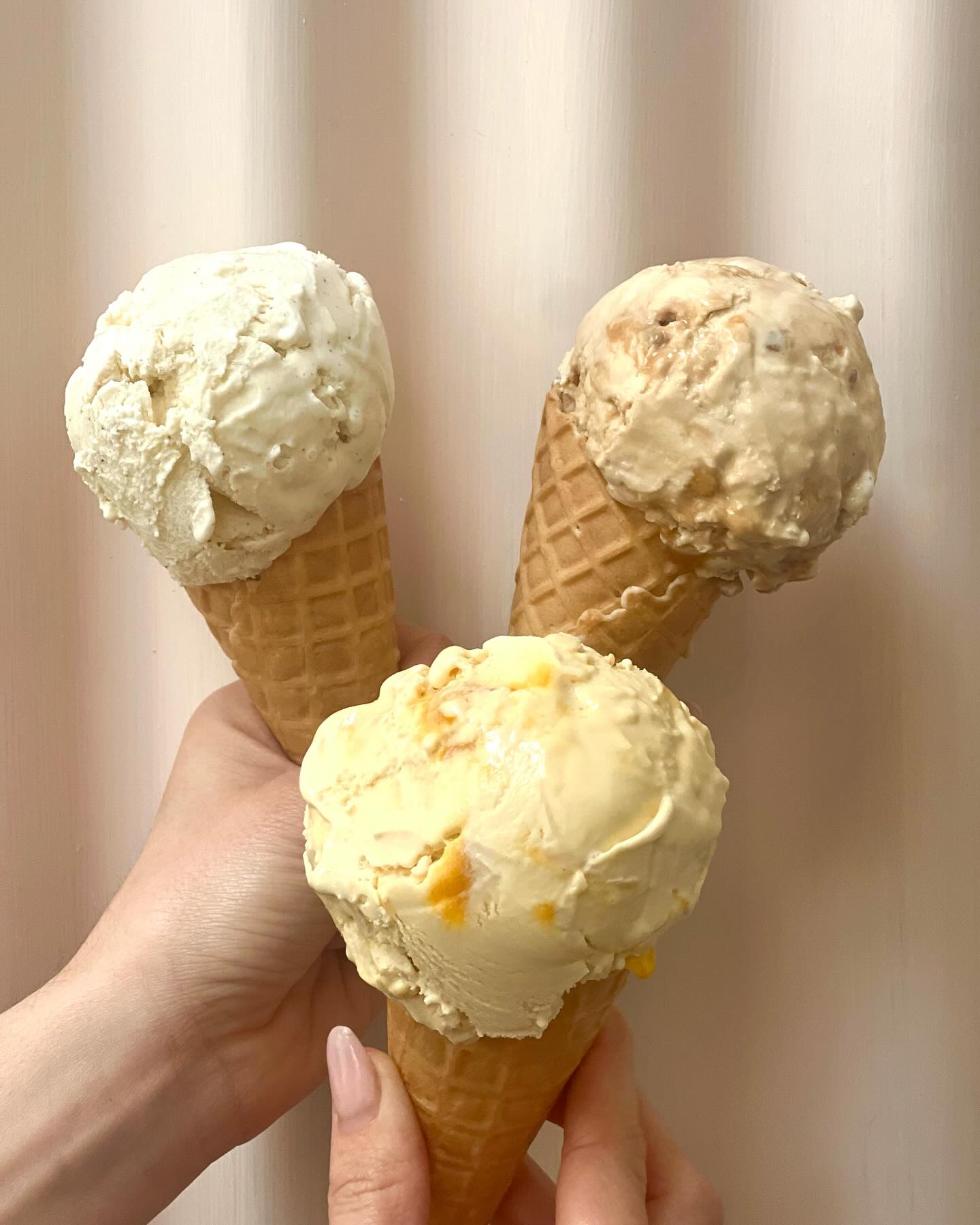 Our summer courses are about to drop… if you’re a subscriber you get to take your pick before anyone else- to subscribe just follow the link to The Constant Maker & Co. In the bio…