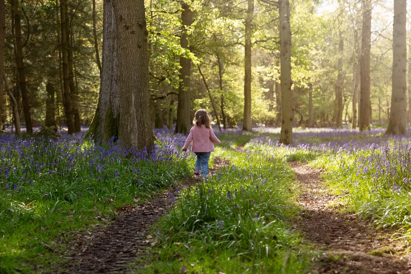 A stroll in the bluebells
.
.
.
.
.
#sjrichardsonphotography #bluebellsession #springphotoshoot #familyphotographer #bensonphotographer