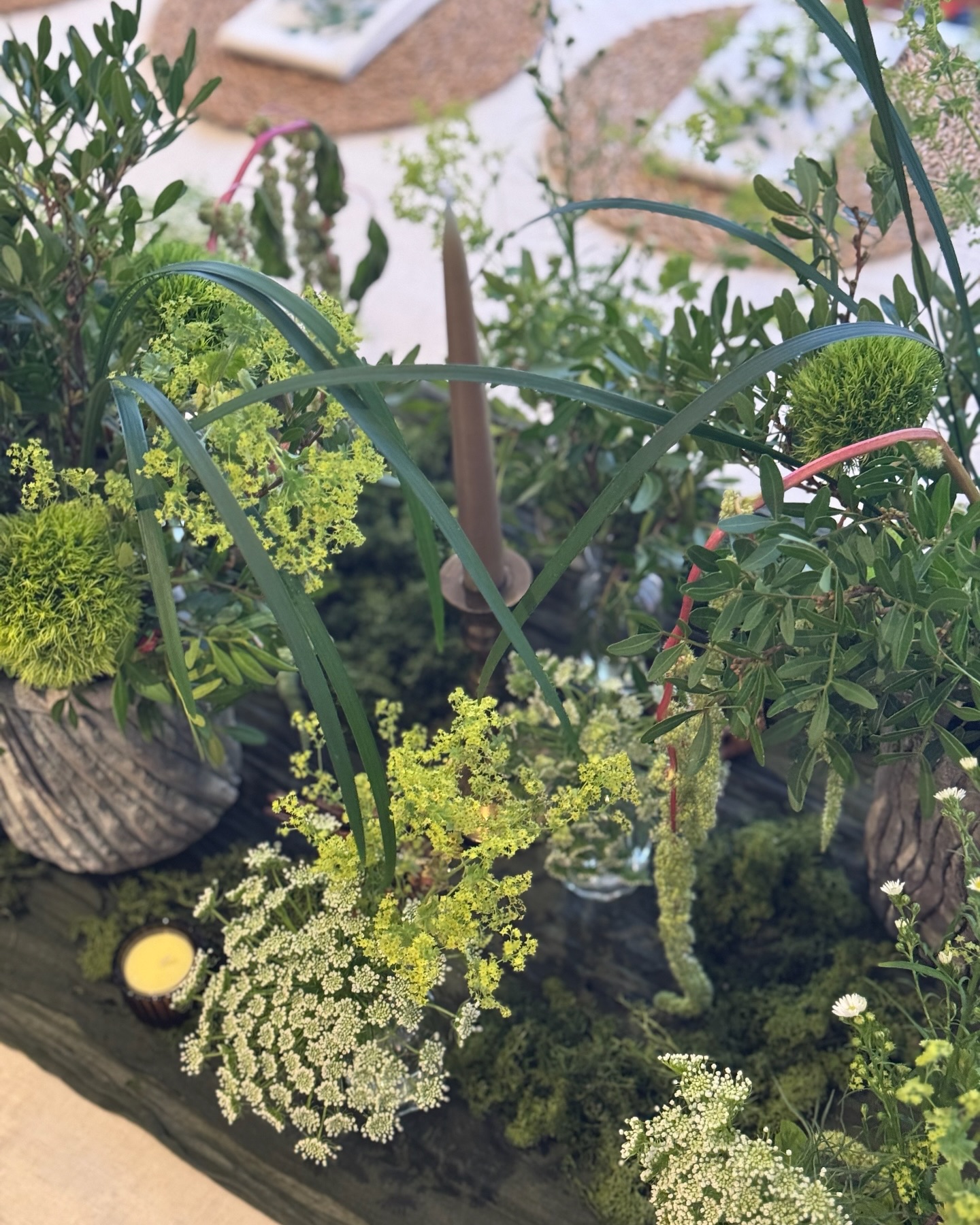 Swamp theme for a baby shower & birthday? Challenge accepted! 🐊✨ Our client’s nickname ‘Croc’ inspired this unexpected yet stylish setting, where we transformed the wild into something wonderfully elegant. Lush greenery, earthy textures, and natural details came together for a tablescape like no other. Stay tuned for the details!
Restaurant @gauthierinsoho
Event planner @threelittlebirdseventsltd
#CushteTablescapes #SwampButMakeItClassy #tablescaping #babyshower #tabledecor