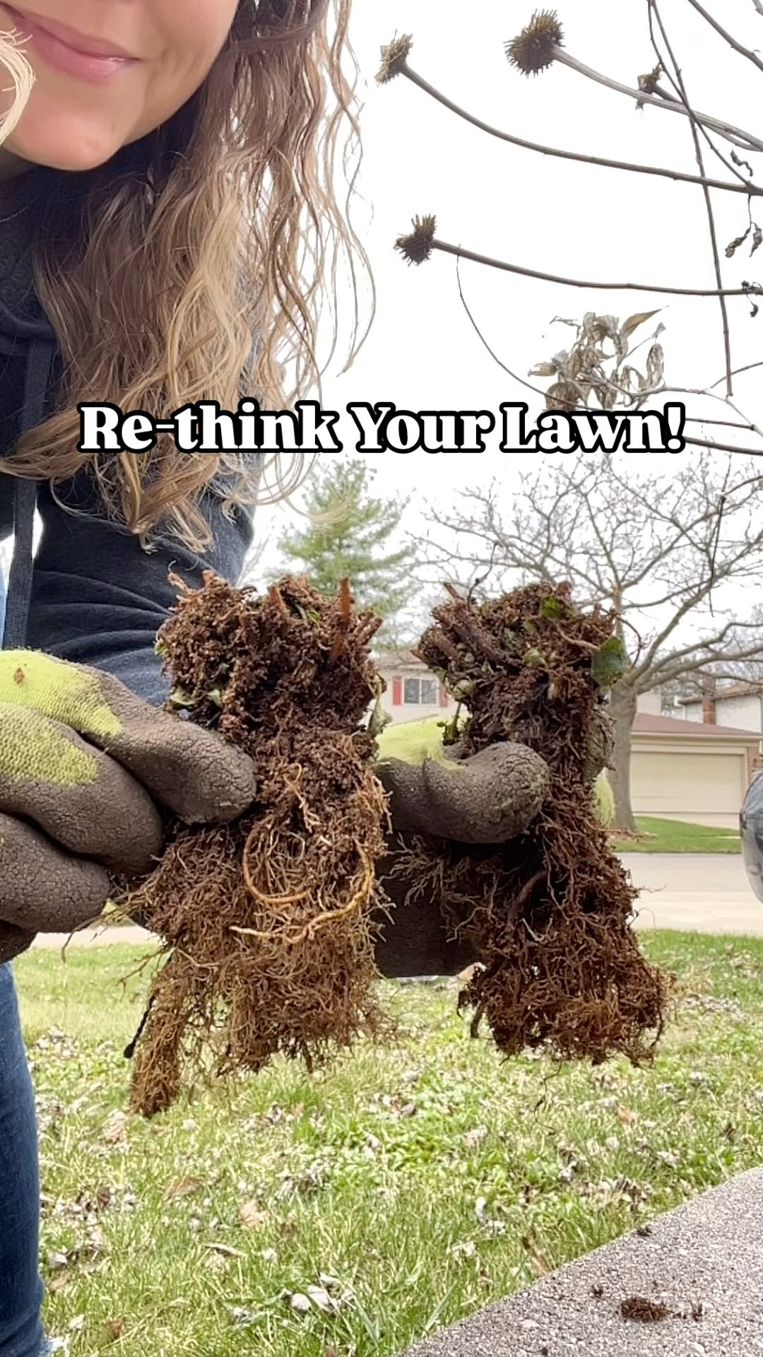 @prairiemoonnursery Yep, that’s me out front planting native violets in my “lawn”!
If you’ve been following along here on Instagram, you already know our suburban property is full of native plants—and our lawn is completely chemical-free, filled with low-growing beauties like violets and self-heal.
Who else is team blooming lawn?!
Today I added:
Common Violet (bi-color form)
Cream Violet (Viola striata)
Let’s redefine what a lawn can be!
#BloomingLawn #PlantNative #LawnReform #ChemicalFreeYard #NativePlants #PollinatorGarden #RewildYourYard #SuburbanRewilding #NatureInSuburbia #VioletsNotGrass #NoMowMay #EcoFriendlyYard #GrowWild #natureandblooms #viral #viralreels #viralvideos