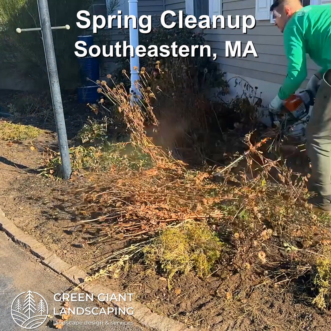 Sping Cleanup 2025: lawn and plant cleaning, garden mulching.
Landscaping Southeastern, MA.
Call now for your free quote!
Plants installation
Tree and shrub care
Seasonal cleanups
Bobcat services
Old overgrown shrubs removal
Mulch installation
Garden maintenance
Professional Landscape Design.
https://www.greengiantlandscaping.com/post/spring-cleanup-2025-prepare-your-landscape-for-a-new-season
Phone:
+1 413-406-9094
#landscaping #landscapedesign #gardening #gardendesign #landscaper #landscapearchitecture #treeandshrubtrimming #mulch #Massachusetts #southshore #newton #boston #hingham #marshfield #scituate #NewtonMA #scituatema #milton #canton #wellesleyma #SpringCleaning #shrubtrimming #shrubcare #plantingseason #plantingtrees #plantingdesign #gardentransformation #springcleanup #mulching