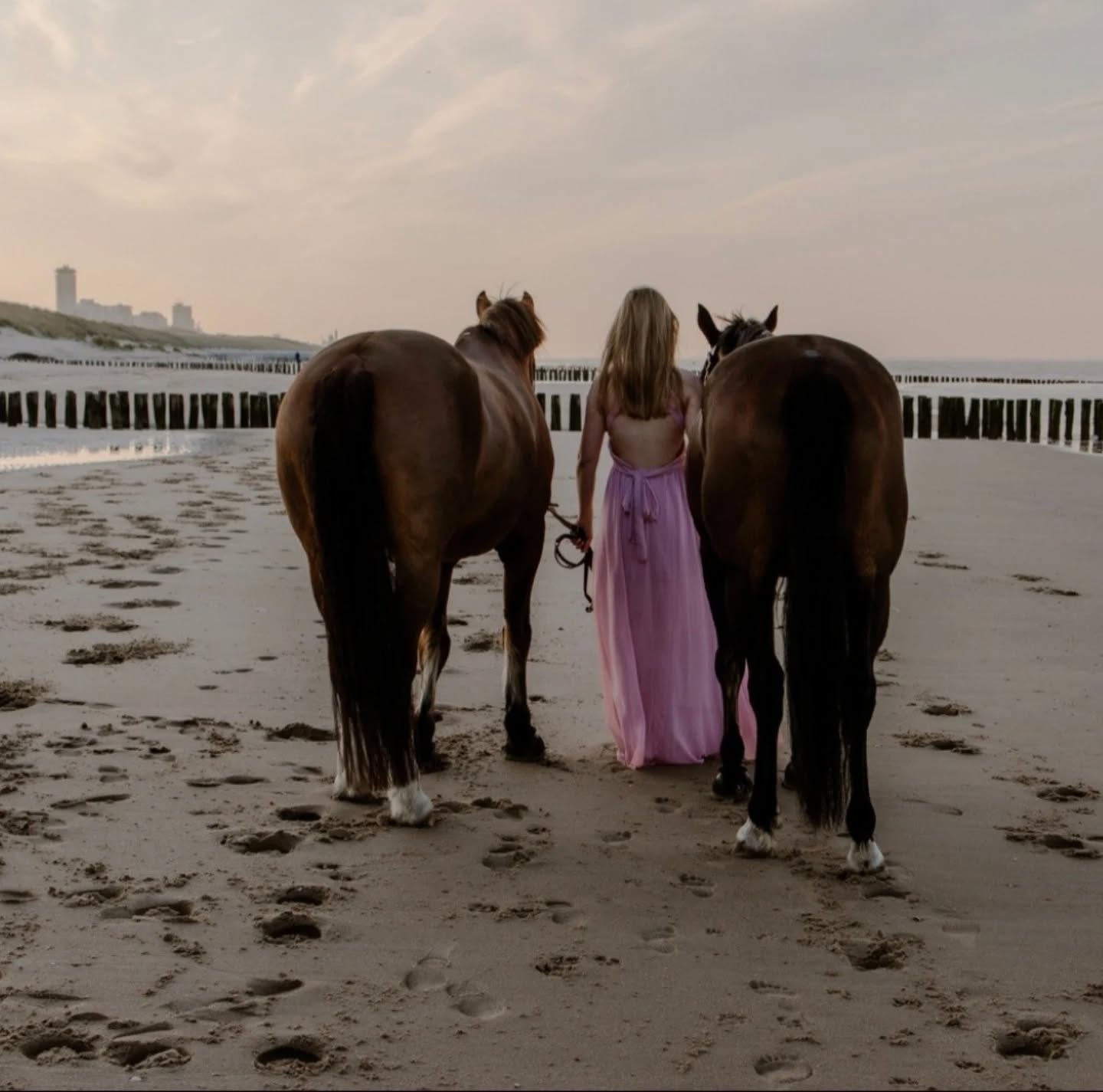 Vanochtend op het strand van Vlissingen!
#goldenhour #girlwithhorse #paard #paardrijden #paardenvaninstagram #paardenfoto #portret