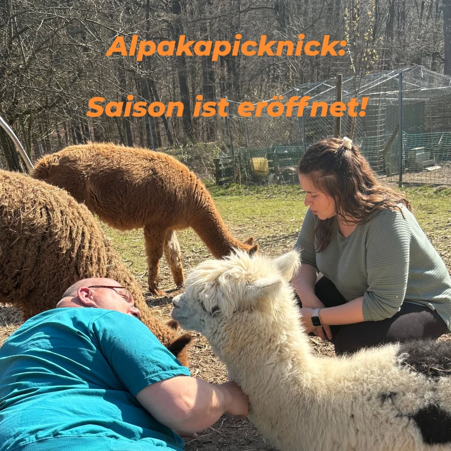 #alpakapicknick : Saison ist offiziell eröffnet! #alpakakuscheln inklusive 😍🦙
#obstwiesenalpakas #Umfrage #Alpaka #alpaca #alpacasofinstagram
#alpakasofinstagram #badmünstereifel
#euskirchen #holzem #kuscheln #picknick #sonnenschein #sunshine
Wäre das nicht auch was für euch?