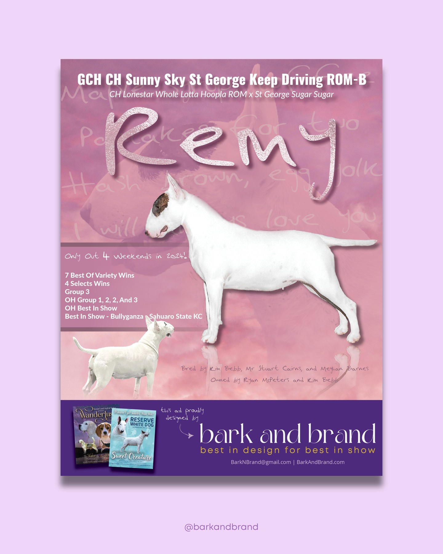 As a longtime Harry Styles fan, we were so excited to put this ad together for Sunny Sky Bull Terriers 🫶
We love when clients give full leeway to play into the inspiration behind the dog's name — the milky pink background, a nod to Harry's self-titled debut album cover; the faded lyrics to Keep Driving, a nod to the registered name; and our favorite part, Harry's handwriting used as the primary font.
We can't wait to create more with Sunny Sky this year! 💜🐾
Interested in an ad design to celebrate your dog's accomplishments? DM or email us at BarkNBrand@gmail.com