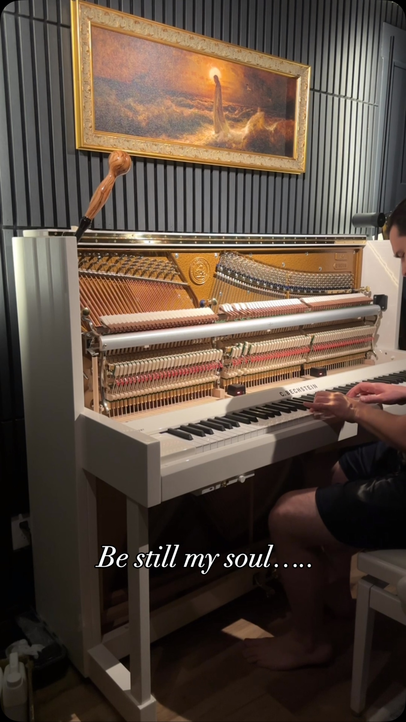 Should I finish this arrangement?
#matthewbraidley #bestillmysoul #sacredhymns #bestill #fearnot #ldshymns