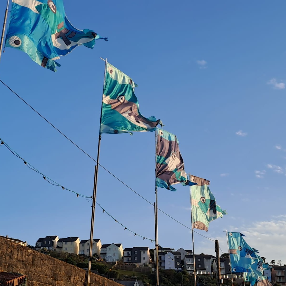 We can't wait for these to be up!
#mevafeastweek
#mevafeastweek2025