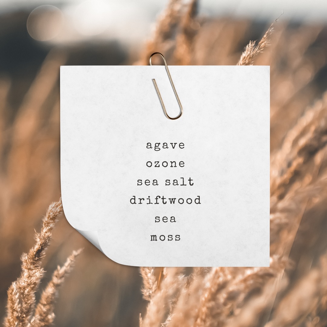 L O W L A N D S
This might be my fav…
fresh marine notes, sweet + earthy
.
.
Available online 4/15
#yam #lowlands #madeinmaine #candlesofinstagram #sircandleman #agave #driftwood #sea #seasalt #moss