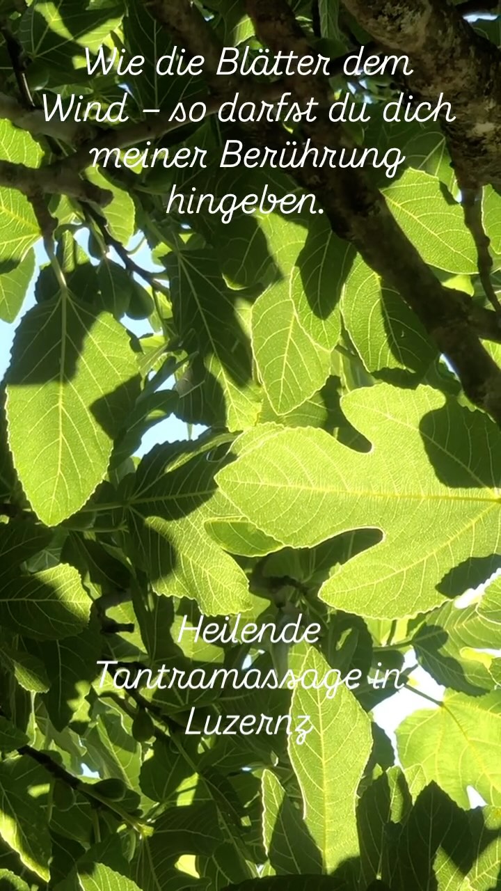 #healingtantraluzern #freedom #healingtantra #tantra #peace #ego #healingtouch
