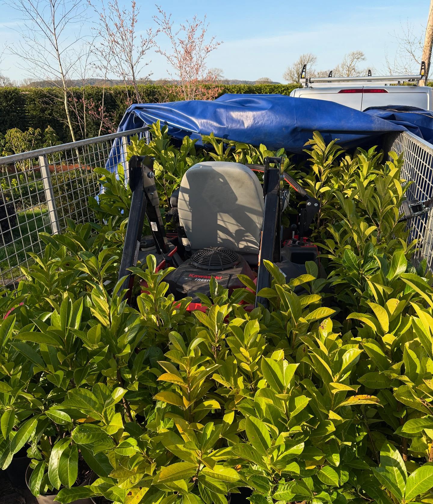 Plant shopping when the trailer is already full!!