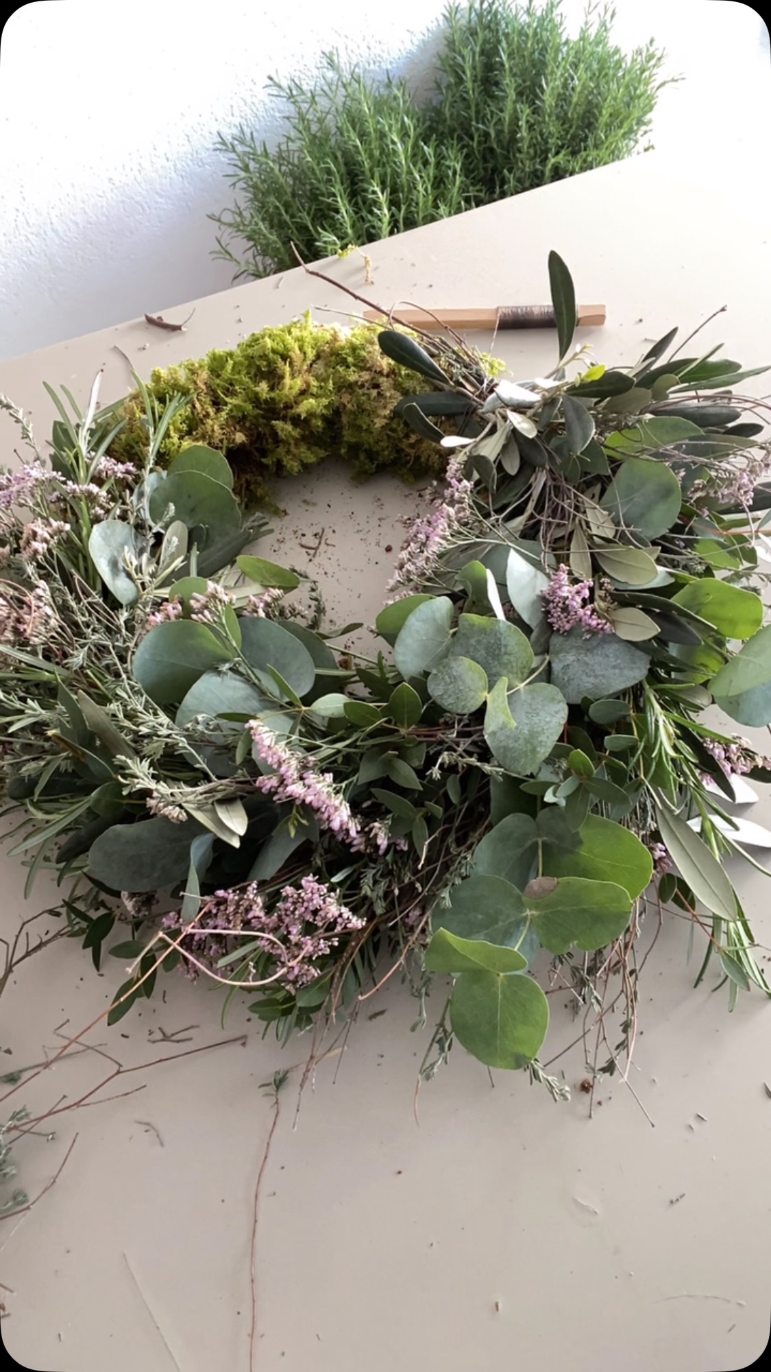Im heutigen Workshop sind wunderschöne Frühlingskränze entstanden. Danke liebe Frauen für den schönen Nachmittag🌷
#frühlingskranz#frühlingsgefühle#workshop#kurs #handwerk#mitliebegemacht#floristik#lokal#saison #blumen#eukalyptus#thymian#rosmarin#limnium
WORKSHOP
KRANZKURS
FRÜHLINGSKRANZ
EUKALYPTUS
THYMIAN