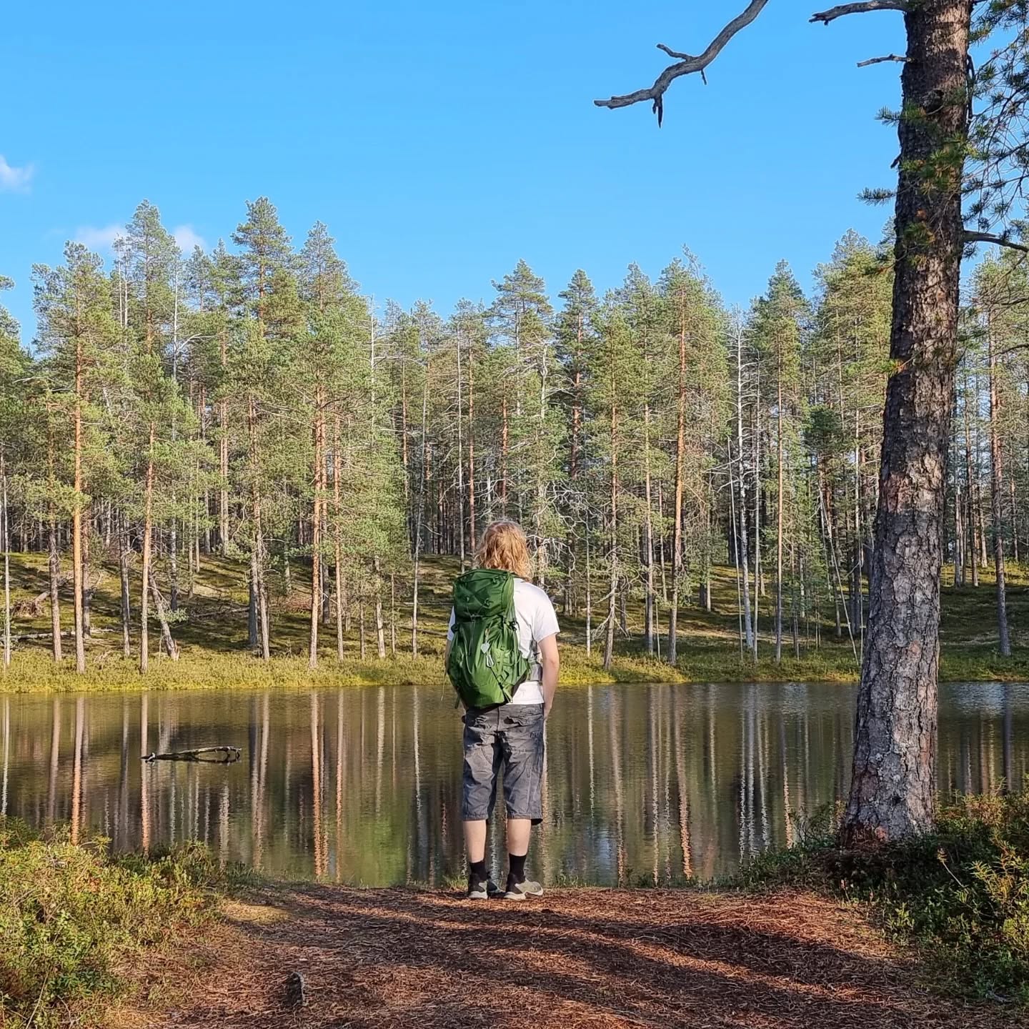 Have you already experienced the breathtaking beauty of northern nature in winter? ❄️✨
Are you curious to see and feel what it’s like in summer? 🌿☀️
In June (7-14 June), you’ll witness the magic of the midnight sun and the unbelievable greenness of early summer. Forests glow in soft light, rivers sing, and nature bursts into life.
In August (23-30 August), the forest turns into a treasure trove – you can snack on wild berries straight from the bush while the golden light of late summer wraps around you like a warm hug. 💙🫐
With MyTrail, you can explore Finnish Lapland in every season – guided with care and a deep love for nature. Come walk with us! 🥾🌲
📍Check out our summer adventures with @davsummitclub – link in bio!
🇩🇪 Hast du die atemberaubende Schönheit der nordischen Natur schon im Winter erlebt? ❄️✨
Bist du neugierig, wie sie sich im Sommer anfühlt? 🌿☀️
Im Juni (7-14 Juni) erwartet dich der Zauber der Mitternachtssonne und das unglaubliche Grün des nordischen Frühsommers. Die Wälder leuchten im sanften Licht, die Flüsse murmeln – die Natur erwacht mit voller Kraft.
Im August (23-30 August) wird der Wald zur Schatzkammer – nasche wilde Beeren direkt vom Strauch, während dich das goldene Licht des Spätsommers sanft umhüllt. 💙🫐
Mit MyTrail kannst du das finnische Lappland zu jeder Jahreszeit erleben – liebevoll geführt und tief verwurzelt in der Natur. Komm mit uns auf den Weg! 🥾🌲
📍Entdecke unsere Sommerreisen mit @davsummitclub – Link in Bio!
#MyTrail #MunPolku #FinnischLappland #Mitternachtssonne #SommerinLappland #WildeBeeren #NordischeNatur #LapplandLiebe #WanderninFinnland #Naturerlebnis #DAVSummitClub #FinnishLapland #MidnightSunMagic #SummerInLapland #WildBlueberries #NorthernNature #LaplandLove #HikingFinland #NatureGuiding