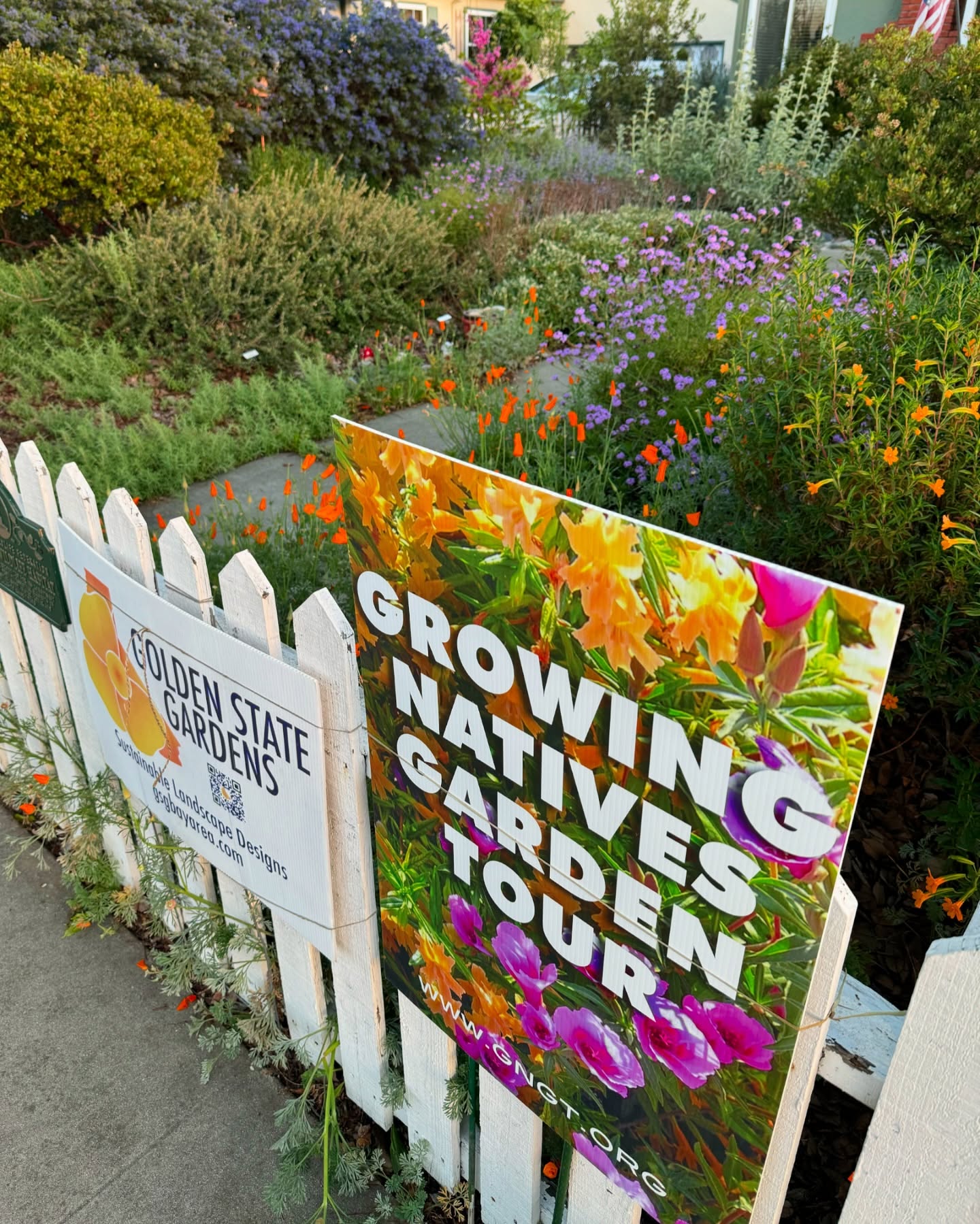 It’s that time of year for the Growing Natives Garden Tour. This year Golden State Gardens has two projects participating in the tour on Saturday 4/12- plot numbers 23 and 8. Sign up for the tour and check them out! Gngt.org
.
.
.
#californianativeplants #gngt2025 #californialandscapedesign #lifenotlawn #sustainablelandscapedesign #regenerativelandscaping #landscapedesigner #springflowers #wildflowers #urbanlandscapes #bayarealandscape