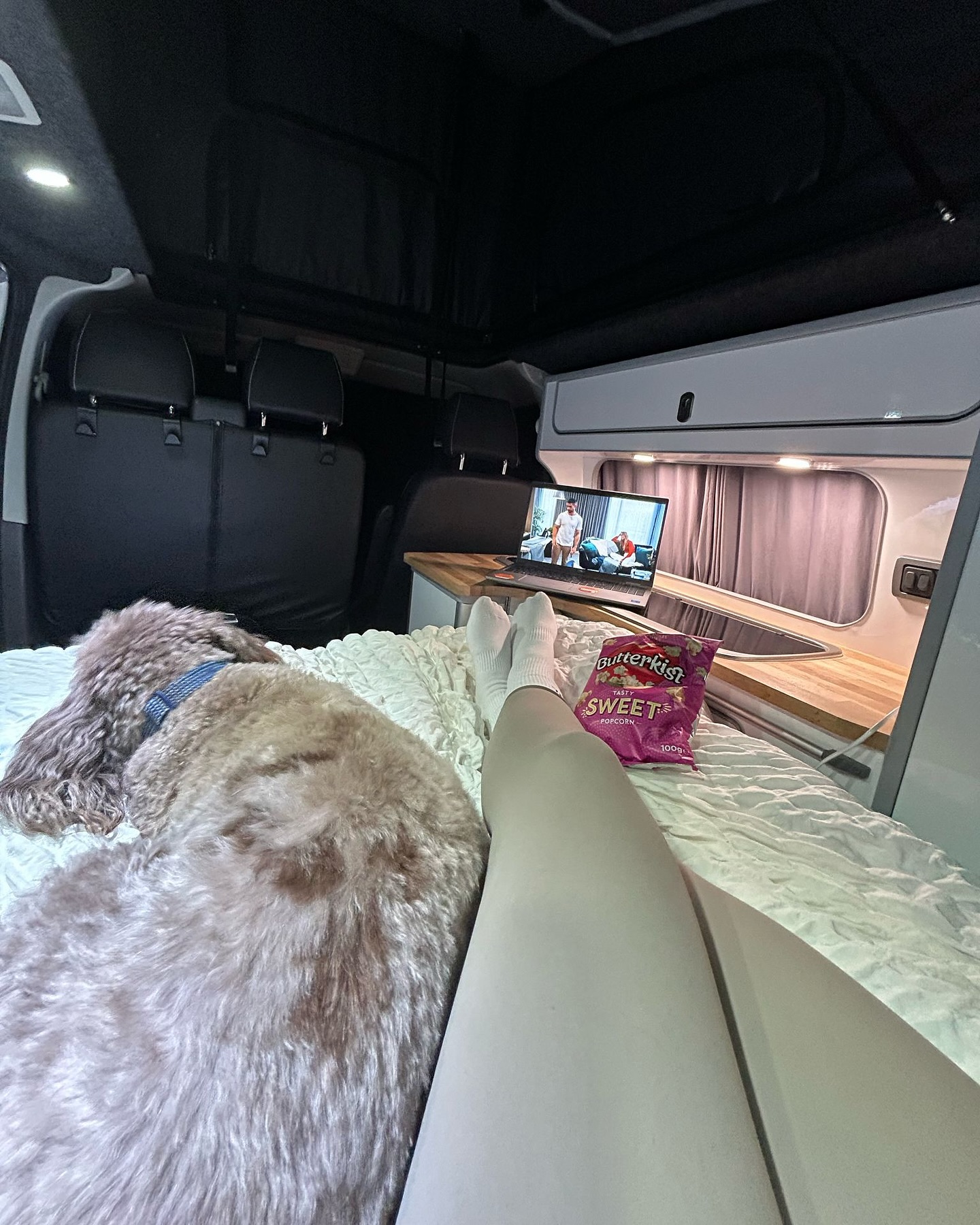 Mum and pup campervan trip 🐾🖤
#campervanlife #vanlife #campervanhire #campervanrental #hiking #dogfriendly