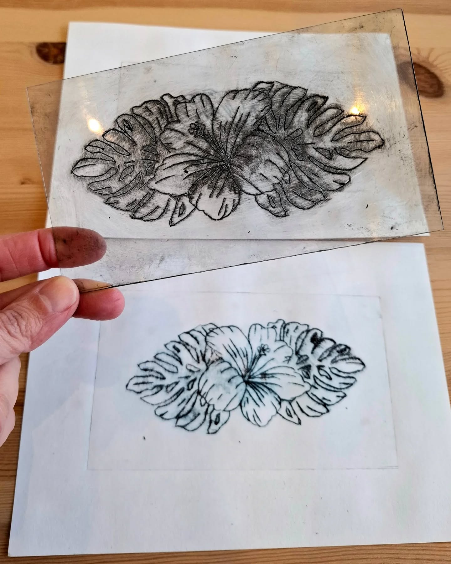 Quick first drypoint project on plastic đş
.
.
.
#drypoint #drypointprint #drypointetching #etching #hibiscus #flowers #natureinspired #printmakingart