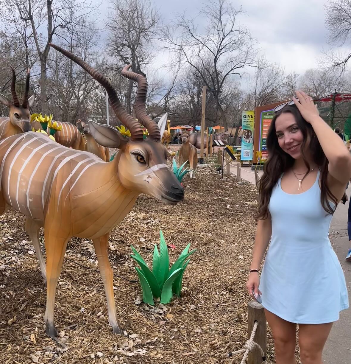 Cassowaries, lemur birthday twins, and lizards—overall, a great visit to the Denver Zoo!