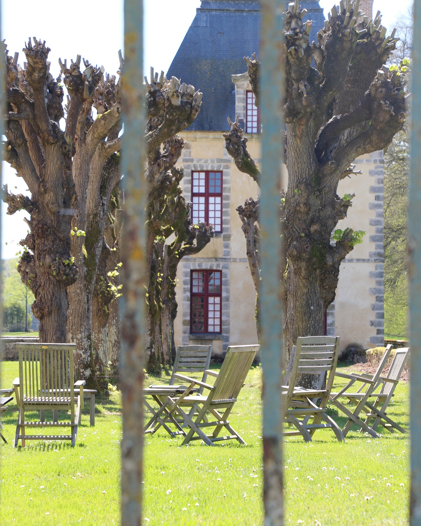 Le printemps reprend ses marques dans l'allée de tilleuls et le parc.