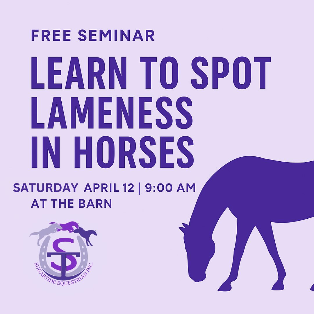 FREE SEMINAR – Learn to Spot Lameness in Horses
Saturday, April 12 | 9:00 AM | At the Barn
Ever wondered how to tell if a horse is lame?
Join us for a free 1-hour seminar where we’ll break it all down:
- What lameness looks like (with video examples)
- Common causes & warning signs
- What to do if you suspect something’s off
Whether you’re new to riding or have years in the saddle, this is a great chance to grow your eye and deepen your horsemanship.
RSVP to save your spot! Info@sugartide.ca
Let’s learn together and keep our horses feeling their best.
#horses #equestrianlife #horseriding #lamenessawareness #ridinglesson #horseseminar #equestrianeducation #barnlife