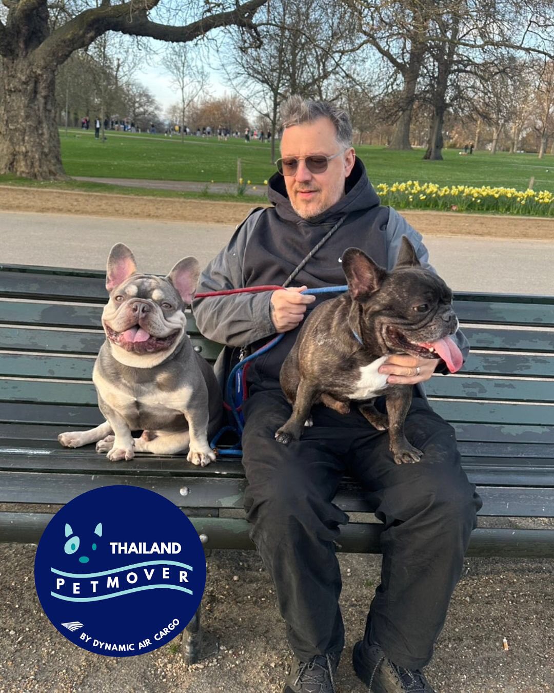 🇹🇭 🛫 🇬🇧
Satoshi and Popia are so happy in the UK after a long flight from Bangkok! All preparations went well it was like a walk in the park (swipe to see this literally 😉)
——————————————————
🐶 Thailand Pet Mover
🐱 Where Pet Lover Meets Pet Mover
🐰 Inquire via LINE: @thailandpetmover
🐯 Or Email: service@dynamicaircargo.com
🐹 Our DMs are not monitored
🐷 A trade mark service managed by Dynamic Air Cargo, a member of IPATA and IATA.
——————————————————
Please make sure you contact direct to our customer service team
#bangkok #traveller #importer #exporters #animals #thailandpetmover #petrelocationservices #petrelocation
#animallovers #pet #petmoverthailand #petshipping #dynamicaircargo #thailandpetrelocation #petrelocationthailand
#worldwideshipping #petmover #petlover #cats #doglover #ขนส่งสัตว์เลี้ยงไปต่างประเทศ #หมา #แมว #ขนส่งสัตว์เลี้ยง #doglovers #dogs #pets #petboarding