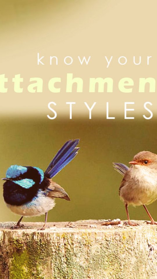 Attachment Style Awareness as Life skill Tool ✨️
The way we learned to connect with others started in our early relationships with caregivers and significant members in our close circles — our early attachments shaped how we relate, love, interact and be with others.
In somatic therapy, we can explore attachment patterns not only ourselves but the people who are close to us., emotionally, familiarly, professionally and socially.
The 4 Attachments Styles :
Secure Attachment
Individuals who are comfortable with closeness and independence. Able to ask for help, set boundaries, and regulate emotions in connection with others.
Anxious Attachment
Individuals who seek constant reassurance. Can experience fear of abandonment, may overextend for others or become preoccupied with how others feel about them.
Avoidant Attachment
Highly independent, may resist emotional closeness. Pulls away when others get too close or when emotions feel overwhelming.
Disorganised Attachment
Wants connection but fears it at the same time. May swing between holding on and pushing away. Often confused about their needs and boundaries.
The patterns aren’t fixed. In somatic therapy we hold space to explore, feel, notice, and gradually re-organise and shift how we want to relate and show up.
Being familiar with your attachment style as well as recognising it in the people that you are connecting with can be a game changer!
Attachment styles shape not just romantic relationships, but friendships, work dynamics, and how we show up in general.
Feeling it's time to explore your attachments?
Book a FREE 15 minutes Zoom consultation with me today!
✨️ April Deal x3 sessions package $150 ends 30 April 2025
Connect. Thrive.
ELIJAHFOREST
#somatictherapy #attachmenttheory #secureattachment #anxiousattachment #avoidantattachment #disorganizedattachment #relationshippatterns #traumainformed #healingjourney #nervoussystemregulation #embodiedhealing #mentalhealthperth #mindbodyconnection #somaticcounseling #selfawareness #elijahforest #perth #brisbane #sydney #melbourne #singapore