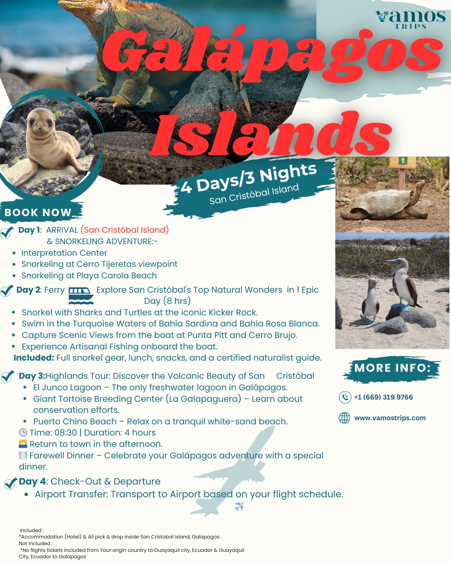 ๐โจ **Explore the Enchanting Galรกpagos Islands!** ๐๐ข
4Days/3Nights
Nestled in the heart of the Pacific, the Galรกpagos Islands are a natural wonder unlike any other. From swimming with sea lions to hiking through volcanic landscapes, every moment here is an unforgettable adventure. With unique wildlife, crystal-clear waters, and pristine beaches, the Galรกpagos offer the ultimate escape for nature lovers and adventure seekers alike.
Join us at **Vamos Trips** and discover the magic of the Galรกpagos! ๐
๐
Book your next adventure now!
DM us for detailed Itinerary & $ price.
Get your budget friendly trip with Vamos Trips
#GalapagosIslands #TravelGoals #BucketListTravel #VamosTrips #ExploreGalapagos #NatureLovers #AdventureAwaits #IslandLife #Wanderlust #TravelUSA #EcoTravel #BucketListAdventures #GalapagosTravel #TravelWithVamos #WildlifeWonders #VisitGalapagos #UnforgettableJourneys #NatureEscape #TravelInspiration #GalapagosAdventure #indiansinecuador #indiansinlondon #indiansinusa