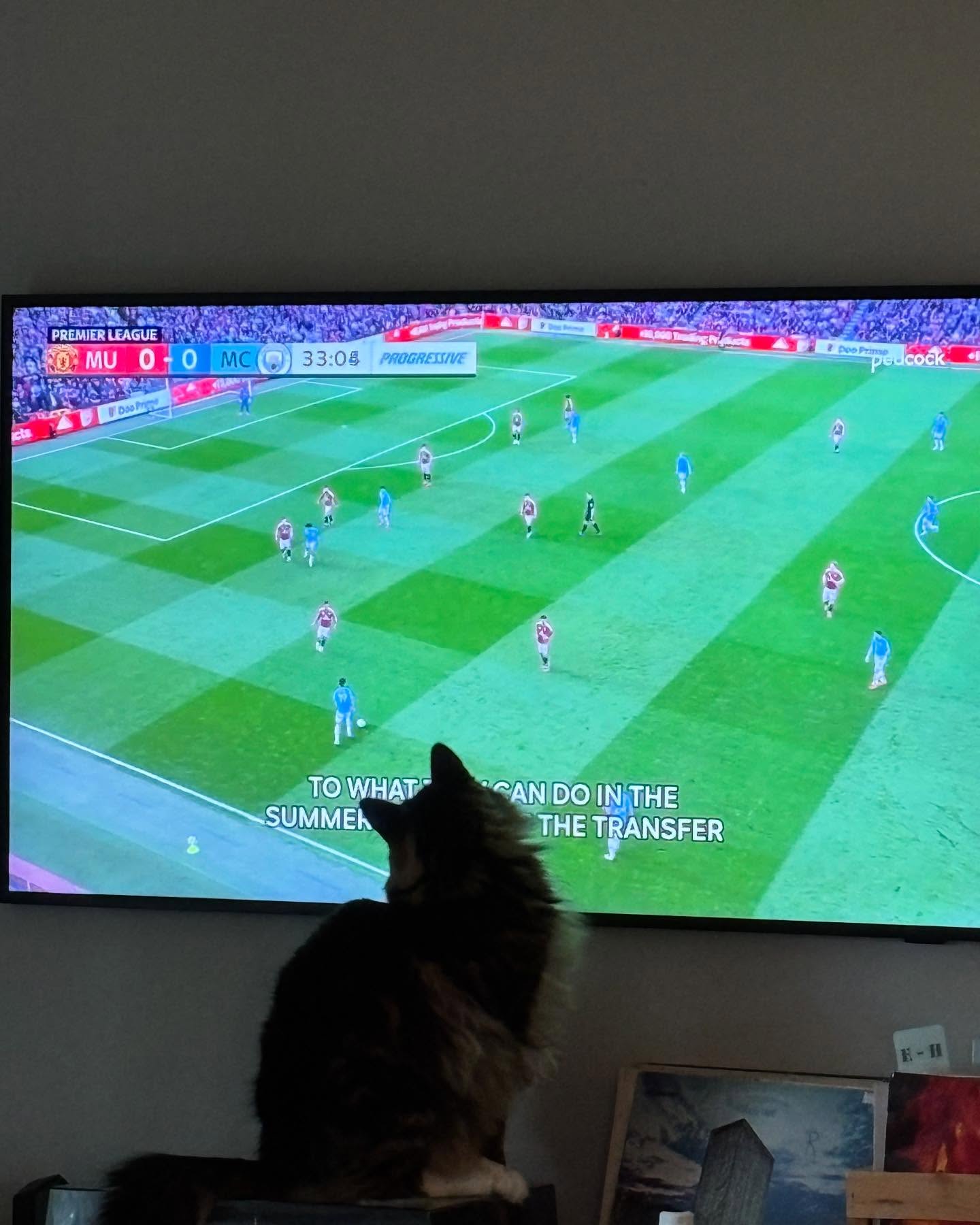 Biggest soccer fan