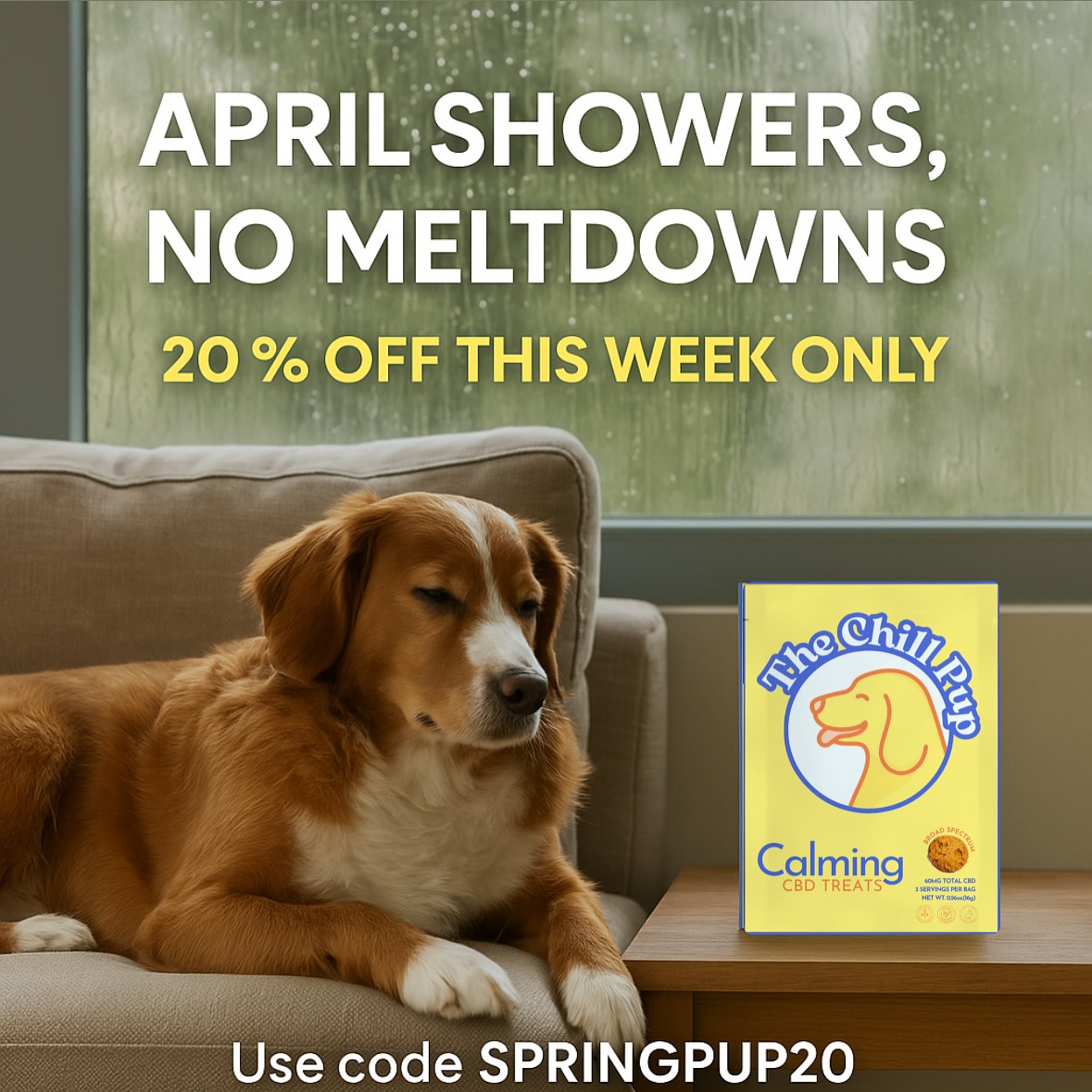 April storms don’t have to mean panicked pups.
Soothe their stress with The Chill Pup’s vet-approved calming CBD treats — made with clean, plant-based ingredients and absolutely no junk.
Fast-acting calm for thunder, travel, and all of life’s chaos.
Use code SPRINGPUP20 for 20% OFF
Offer valid this week only at thechillpup.com
#thechillpup #springcalm #AprilShowersRelief #plantbasedpets #vetapprovedcbd