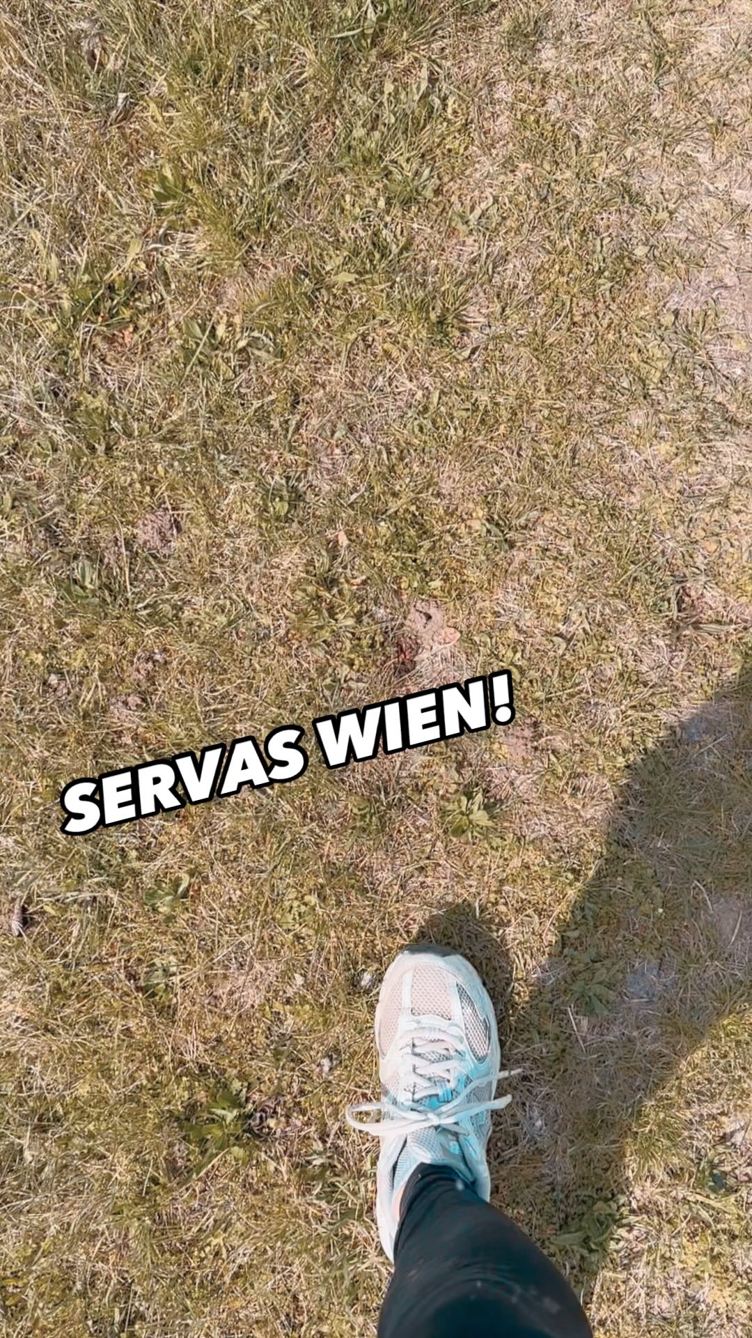 Zwei unserer Bio-Bienenstöcke sind nach Wien, genauer gesagt ins schöne Stammersdorf gezogen. 🍇🌸
Mitten in Tante Susis altem Weingarten der bestimmt so manche Geschichte zu erzählen hat gibt’s demnächst einen ganz feinen Bio-Blütenhonig von uns zu kaufen. 💛🍷🐝
•
•
#wienliebe❤️ #wienerbiohonig #wienerimker #honigauswien #biohonig #bioimkerei #imkerinnen #honigbiene #carnica #bioprodukte #rawhoney #naturprodukt #wirsindwien #stammersdorf #nachhaltigeprodukte #honigausösterreich #honigausderregion #weingarten #wienerhonig #wienerschmankerl