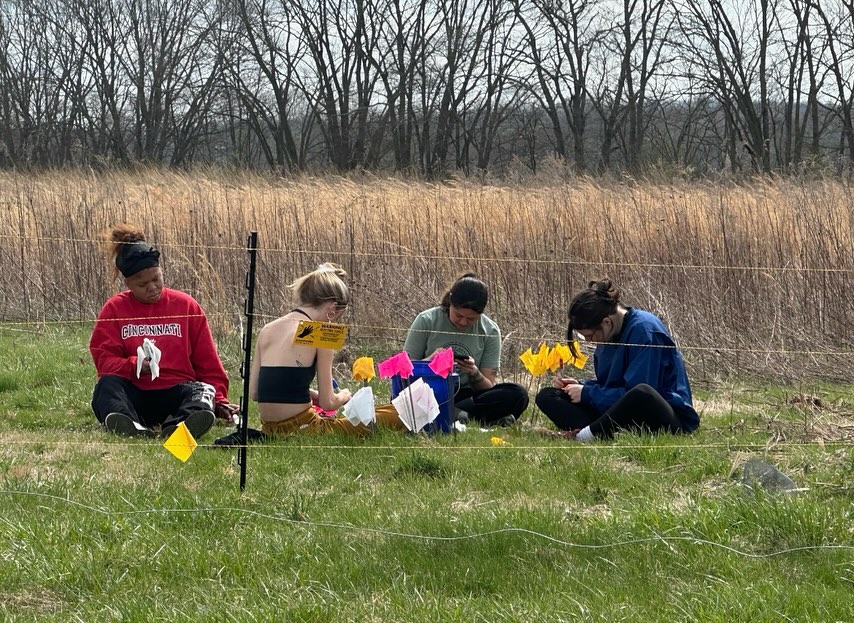 Exciting things happening at the UC Field Center! Our students are hard at work laying out planting designs for a regenerative forest. Stay tuned for more updates as this project grows ☺️🌱