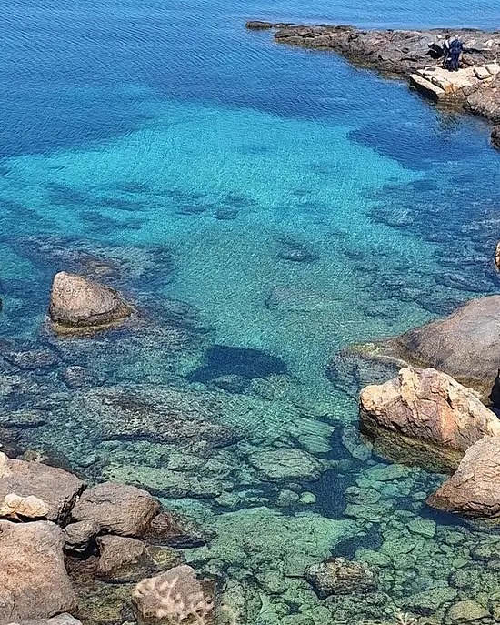 ☀️ Cabo de Palos ☀️
Vandaag een mooie daguitstap gemaakt naar Cabo de Palos. Een vrolijk vis- en zeilcentrum, bekend om zijn vuurtoren, zondagse markt en vele visrestaurants. Je vindt er ook een leuke haven met tal van restaurantjes en toffe wandelingsmogelijkheden!
Een aanrader op slechts 30 minuutjes rijden van Casa Lita
#murcia #daguitstap #cabodepalos #vuurtoren #jachthaven #genieten #casalita