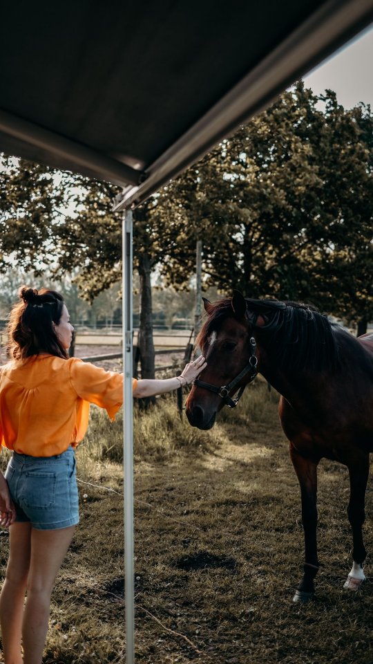 🤍🤍🤍
#leven #life #verbinding #connection #ontmoeten #zien #geven