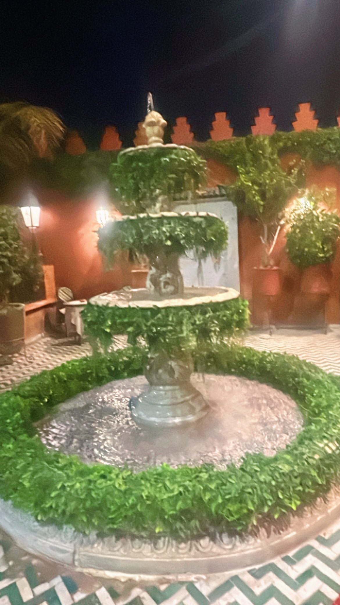 Thank you Marocco for week of sun, walking, exploring, ocean dipping, hammam sweating, argan oil experiencing, tasting delicious food, all the smells and colors