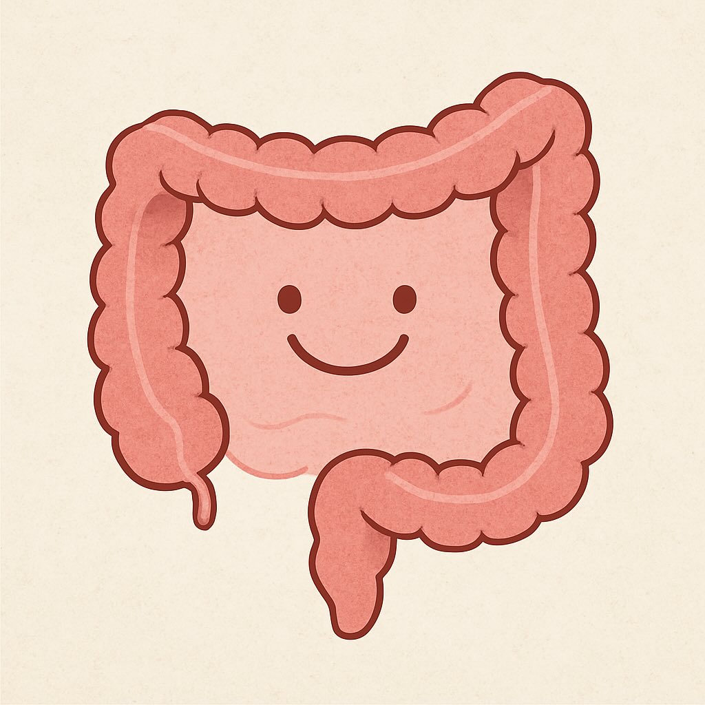 🧠💥 Wusstest du, dass dein Bauchgefühl mehr ist als nur eine Redewendung?
Unser Darm hat sein eigenes Nervensystem, produziert Glückshormone und beeinflusst, wie wir uns fühlen. Seit ich mich intensiver damit beschäftige, achte ich ganz anders auf das, was ich esse – nicht perfekt, aber bewusster. Und das macht echt einen Unterschied. 🌿✨
Ich hab dazu ein Buch gelesen, das mir die Augen geöffnet hat – und meine Learnings + Alltagstipps jetzt in einem Blogartikel zusammengefasst.
📲 Den Link findest du in der Bio!