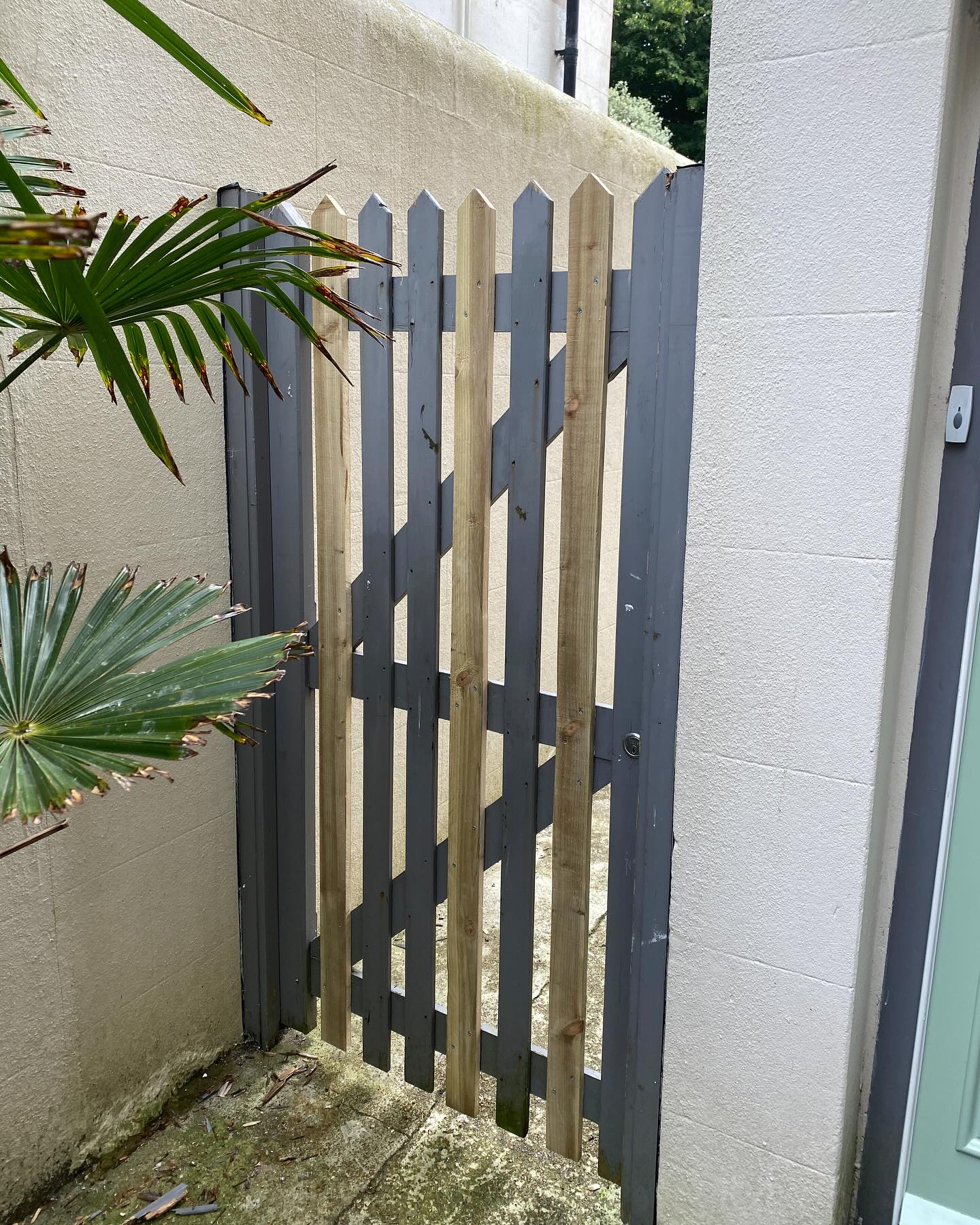 A customer in Hove had several rotten wood strips on their garden gate, rather than replace the entire gate, I removed the rotten strips and cut and made replacements and secured in place with rust free screws!
#gardengate #gardengaterepairs