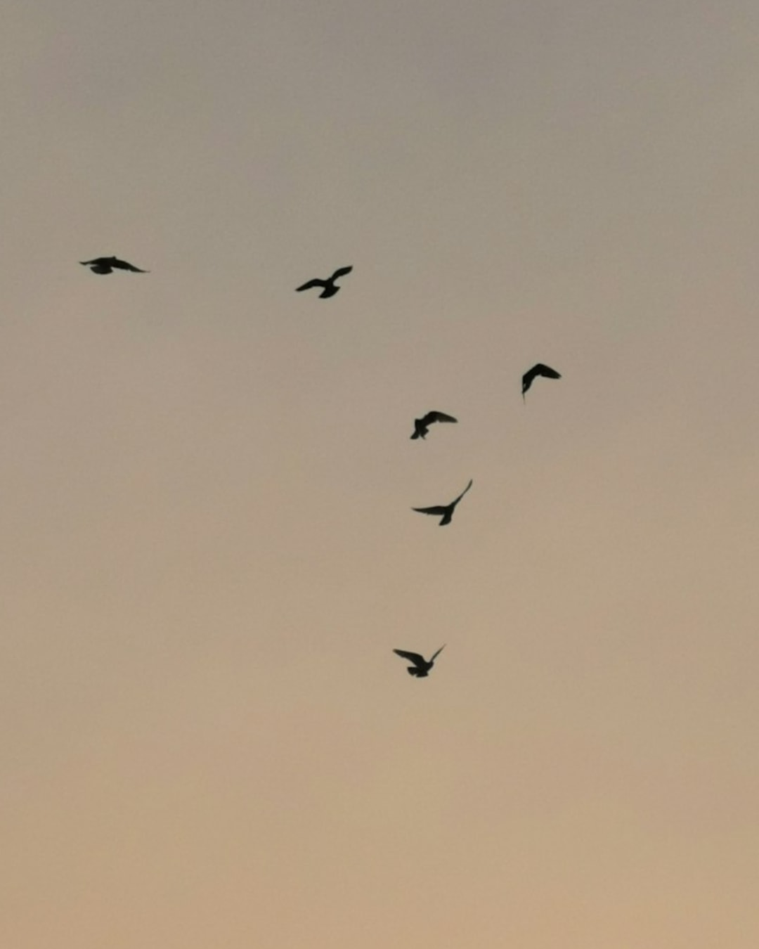 ⨠"If you want to fly, you need to step out of your comfort zone." â¨
Taking a leap of faith and exploring new possibilities is exactly what Iâm doing right now! Iâm stepping outside my comfort zone to embrace exciting opportunities, and Iâm here to help YOU do the same.
With one-on-one coaching, I can guide you toward achieving your goals and pushing past your limits. Ready to take that leap? Letâs make it happen together! Follow the LINK IN BIO
#LeapOfFaith #StepOutOfYourComfortZone #PersonalGrowth #CoachingForSuccess #GoalSetting #NewOpportunities #BusinessCoaching #TakeTheLeap