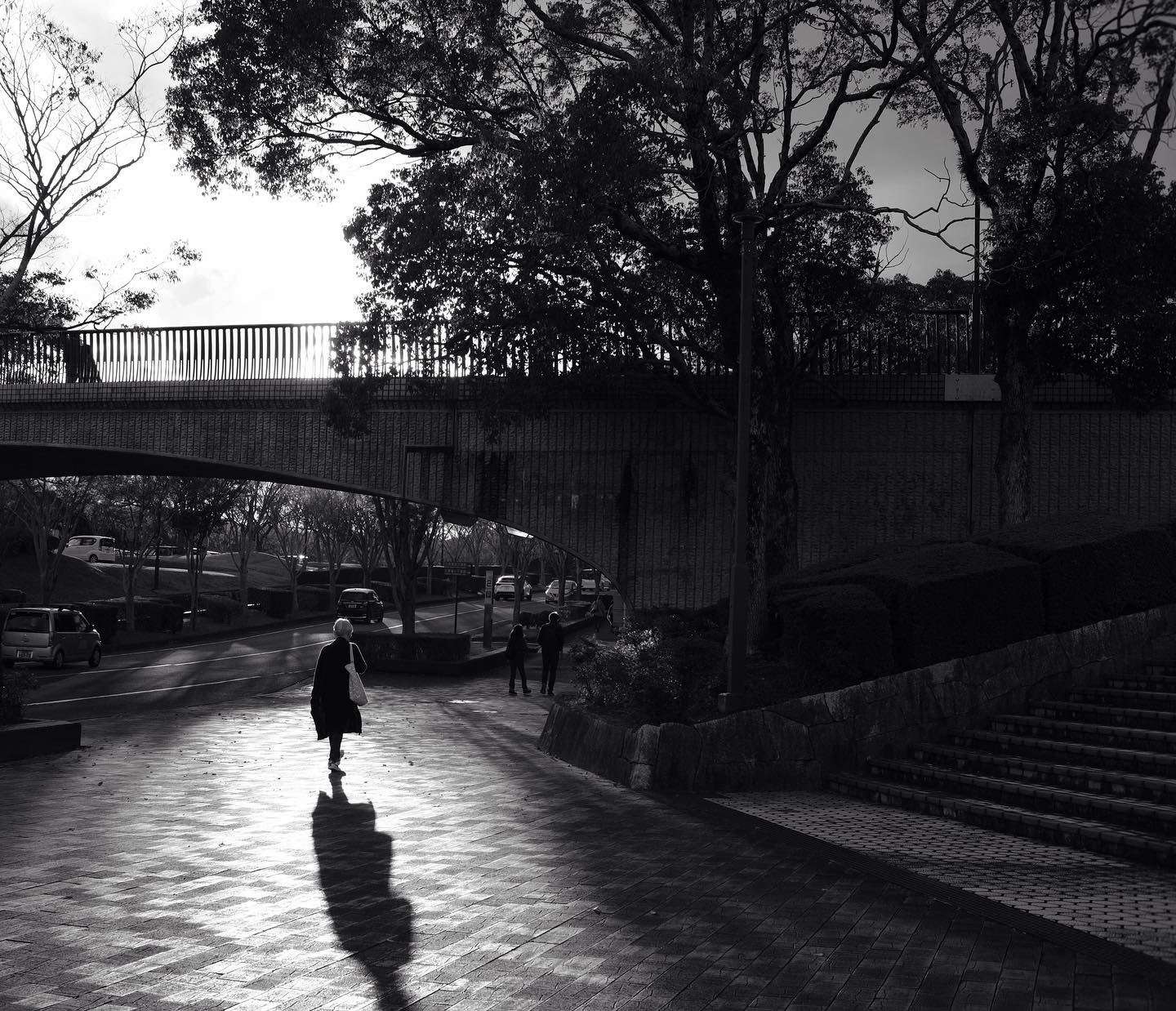 偶然が重なり今あなたは映画のラストシーンを演じているようだ
Right now, by chance, you are acting out the last scene of the film.
#movielight #sunset #miraculous #aday