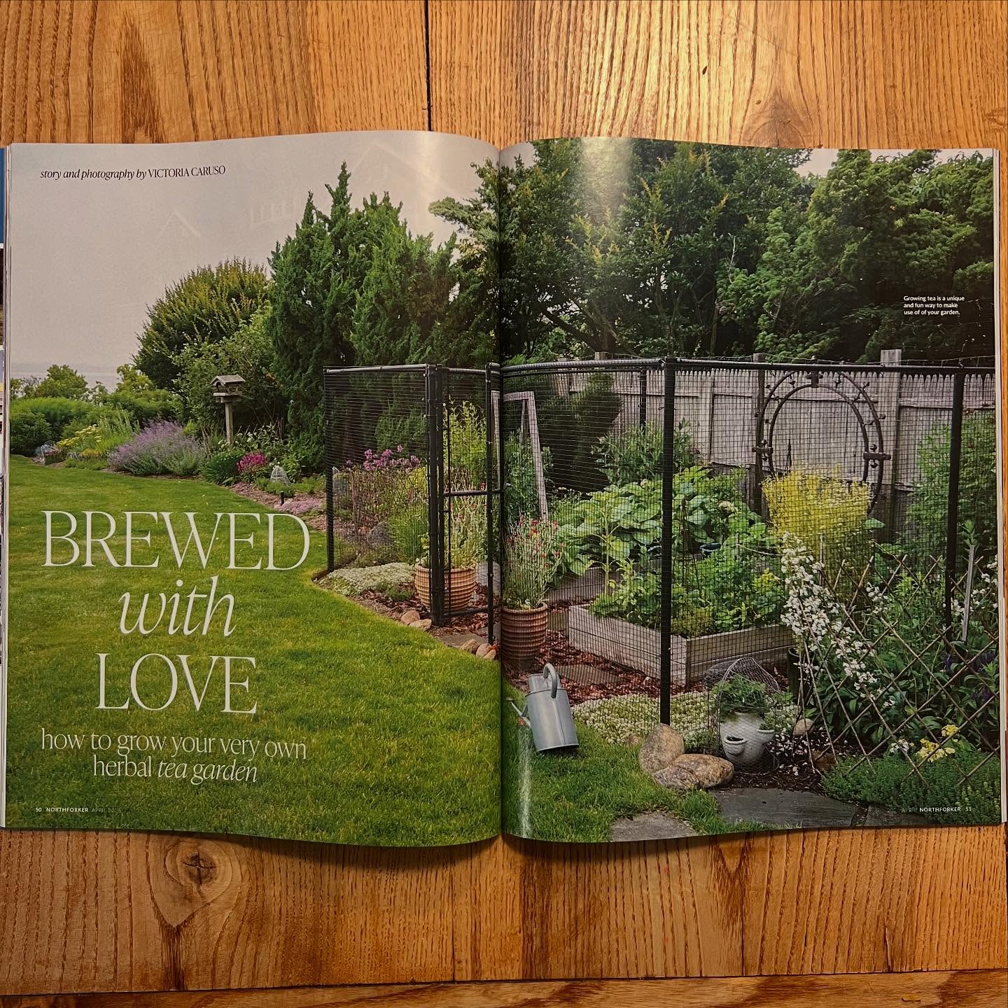 Life is a garden, and this is our season to grow! It was a delightful surprise to be featured in the April 2025 issue of @the_northforker , article written and photographed by the lovely @victoria__caruso featuring photos of @nycaromatica our client’s incredibly dreamy Yard Crop garden. Pick up your copy to read “Brewed with Love: how to grow your very own herbal tea garden”, and be inspired by the magic of herbs!🌿 ✨🌸
*Link in bio to read full article!*