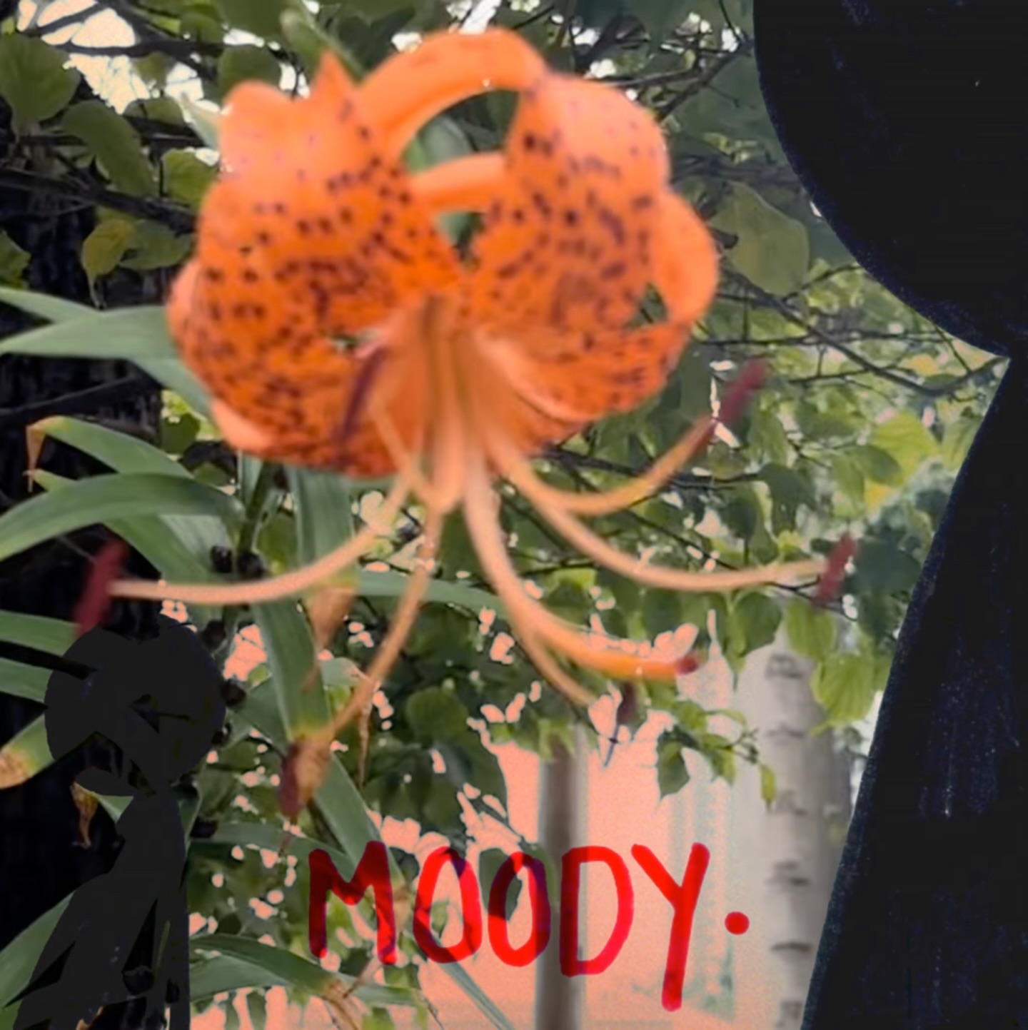 @lemondropdrunk Thank you for trusting us with mastering your beautiful debut album and being such a wonderful person to work with! 🎹 🎶
“Moody” by OKOI is out now on all major streaming platforms - give it a listen
#TwoLarksProductions #FemaleLedMusic #WomenInMusic #WomenInAudio #ClassicalAlbum #ContemporaryClassical #ModernClassical #ClassicalMastering #AmplifyWomen #WomenInSound #WomenWhoCreate #ArtistryInAudio #FemaleComposers #ProducerLife #LondonMusicScene #LondonClassical #WomenInMusicLondon