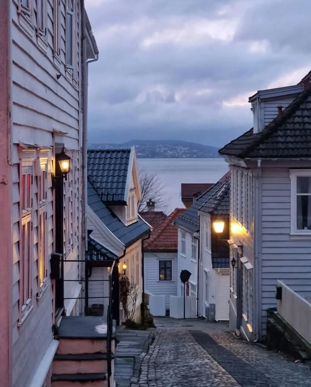 📷 Szilvia Toser @morla.no