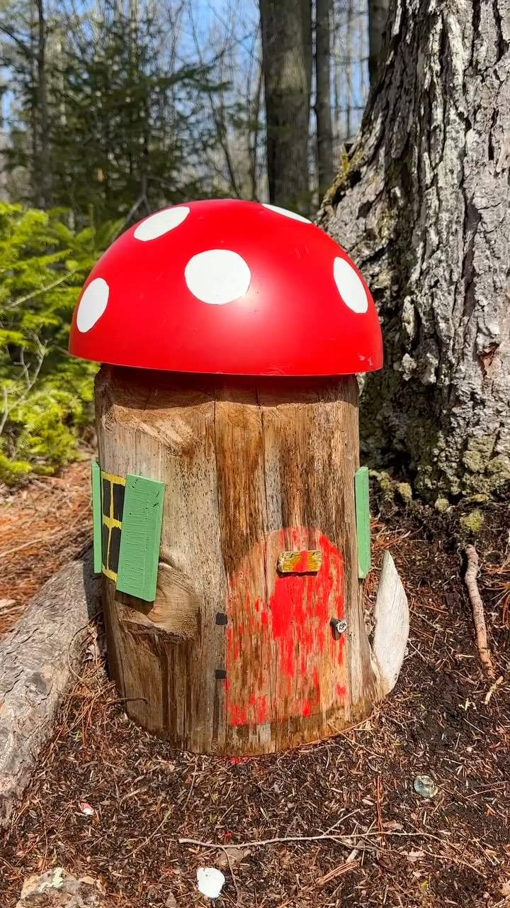 Spring is definitely in the air! ☀️
#arundelmaine #kennebunkmaine #mainelandtrust
Did you get outside and enjoy the sun yesterday?