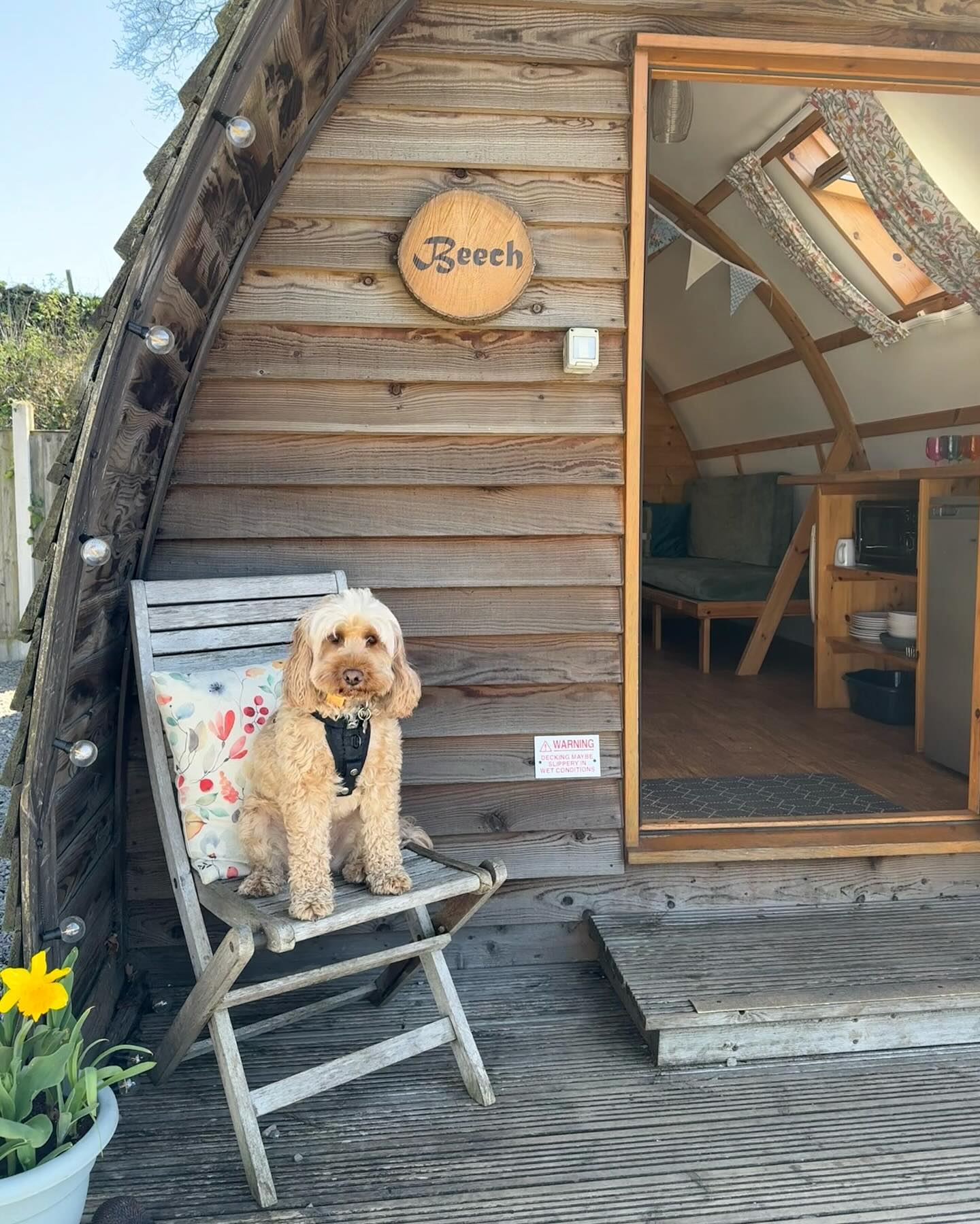 Did you know our camping pods are dog friendly?🐾
Enjoy our cosy pods and spectacular views with your beloved four-legged friend!❤️
💻www.chevinparks.co.uk
📞0113 284 1142
#dog #puppy #dogfriendly #dogfriendlycamping #campingpod #camping #campsite #menston #otley