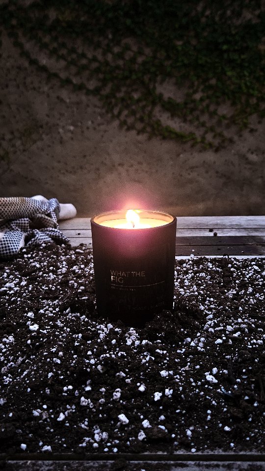 What The Fig: Fig and Green Tea
The scent of Fig evokes a sense of warmth, freshness and sophistication while the smell of Green Tea balances it with freshness and calm. The combination reminds us of a spa day. Subtle and clean.
Retailers Trinidad & Tobago:
@okazions
@massystorestt
@de_luxo_gift_store
@antonisfloralstt
@niche_salontt
@5thsensation
@tradewindshoteltt
@gonebananastt
@karenixtt
@libertyhomestore
@nexgenbrewing
Rainy Day's Gift Shop
The Avenue Pharmacy
Retailers U.S.A:
@basesuperstore
@skin_fusion_spa
Retailers The Cayman Islands:
@bedsidemanor
#christmascandle #christmascandles #shoplocal #galtandmaree #trinidadandtobago #luxurycandles #handpoured #handpouredcandles