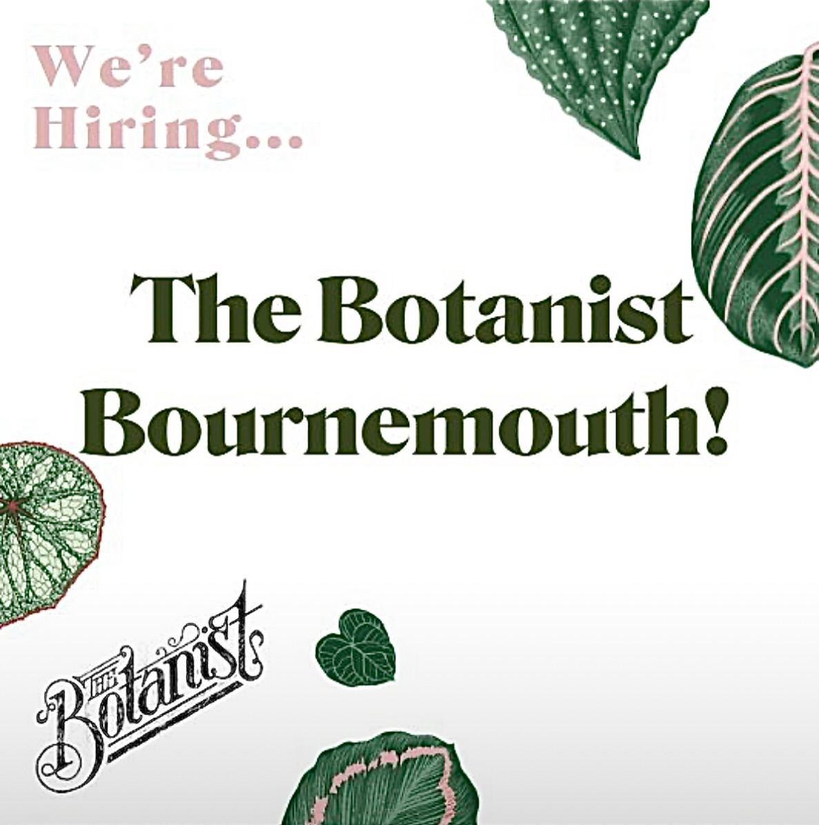The Botanist is beginning to bloom at Bobby’s 🌱🌼
They’re currently searching for the very best Bournemouth talent to join their exciting new space on our fourth floor.
They’re recruiting across front and back of house and all roles are now live! 👇
https://rb.gy/92ani2 / link in Bio